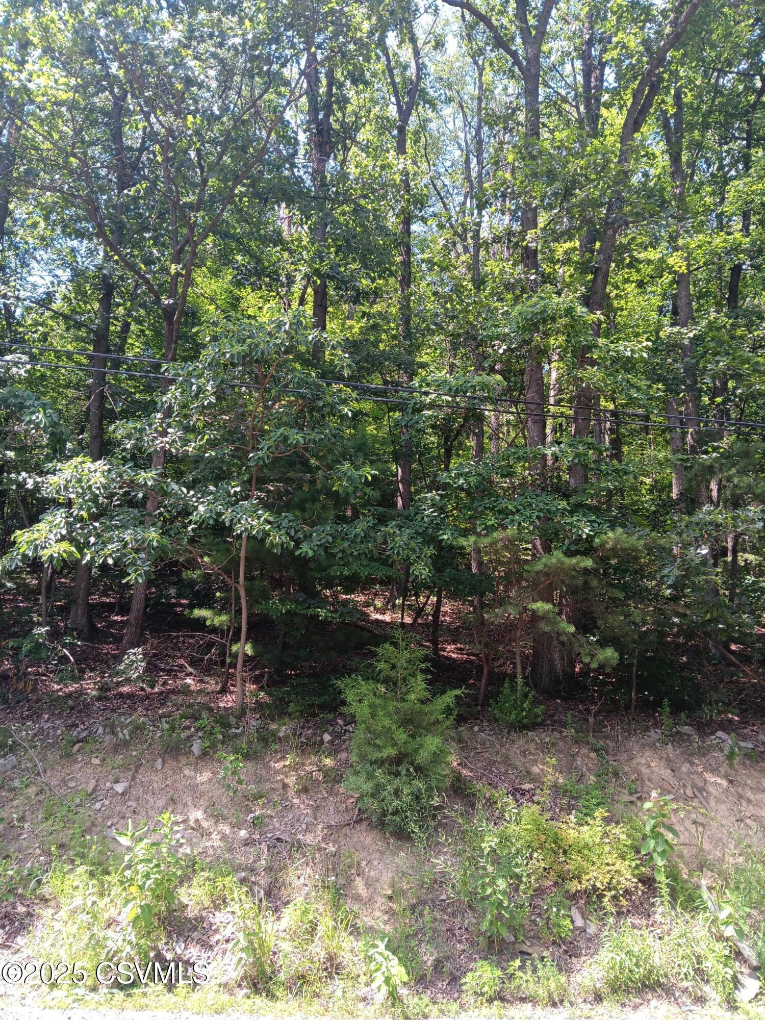 0 Hooflander Road  Herndon PA 17830 photo