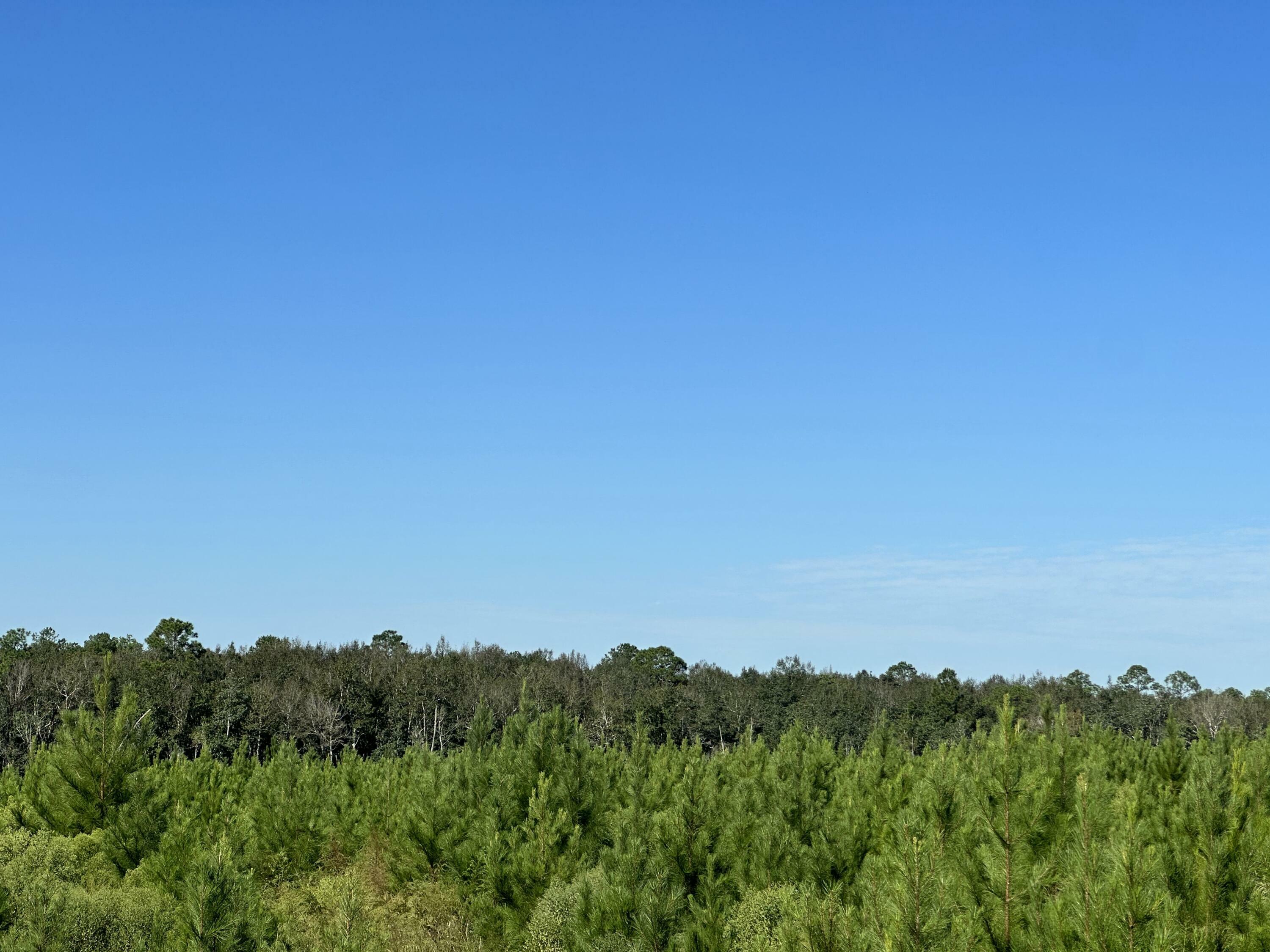 Parcel E Millside Road  Laurel Hill FL 32567 photo