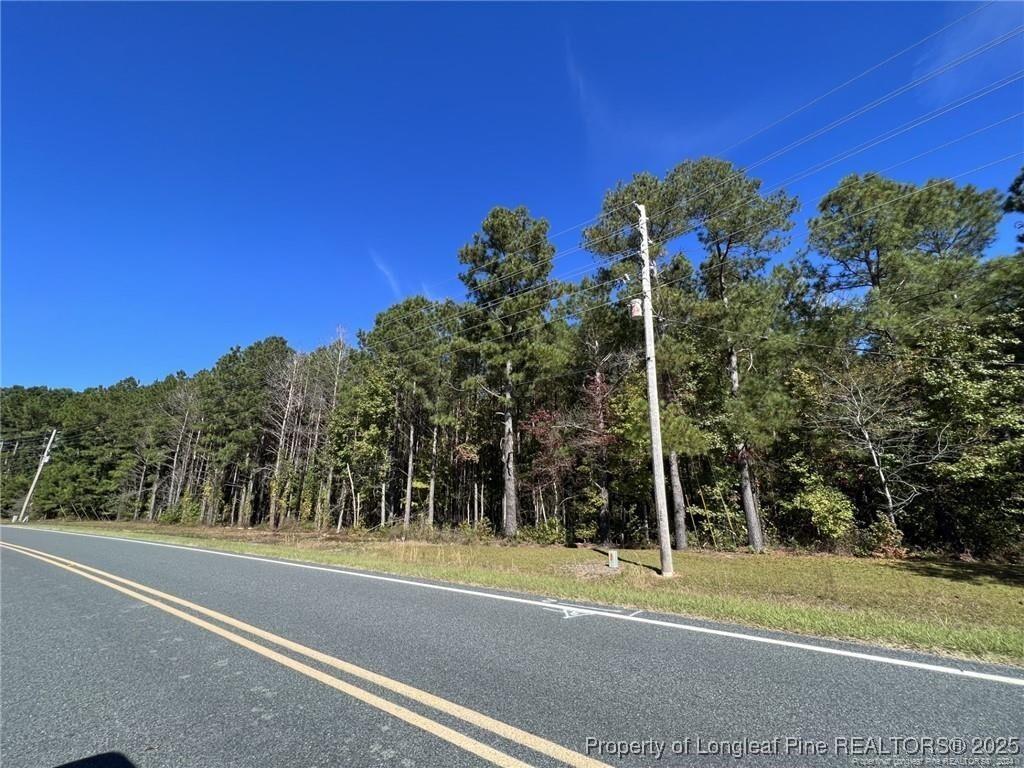Property Photo:  E Powersville Road  NC 28358 