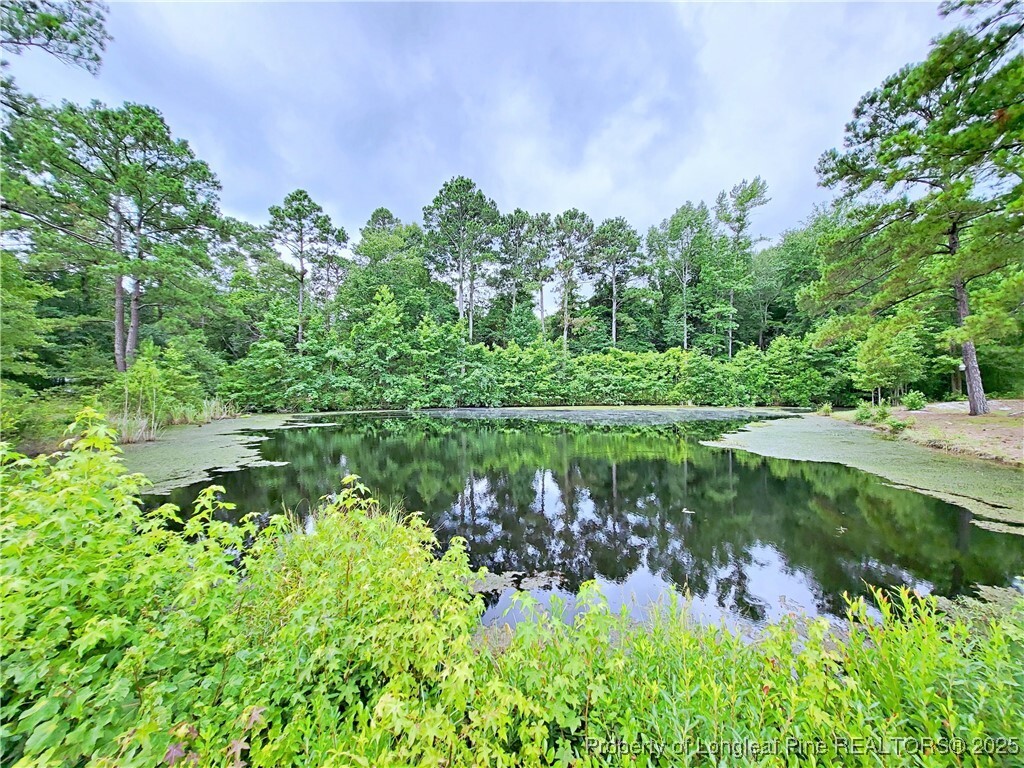 Property Photo: 7246 Faircloth Bridge Road NC 28391