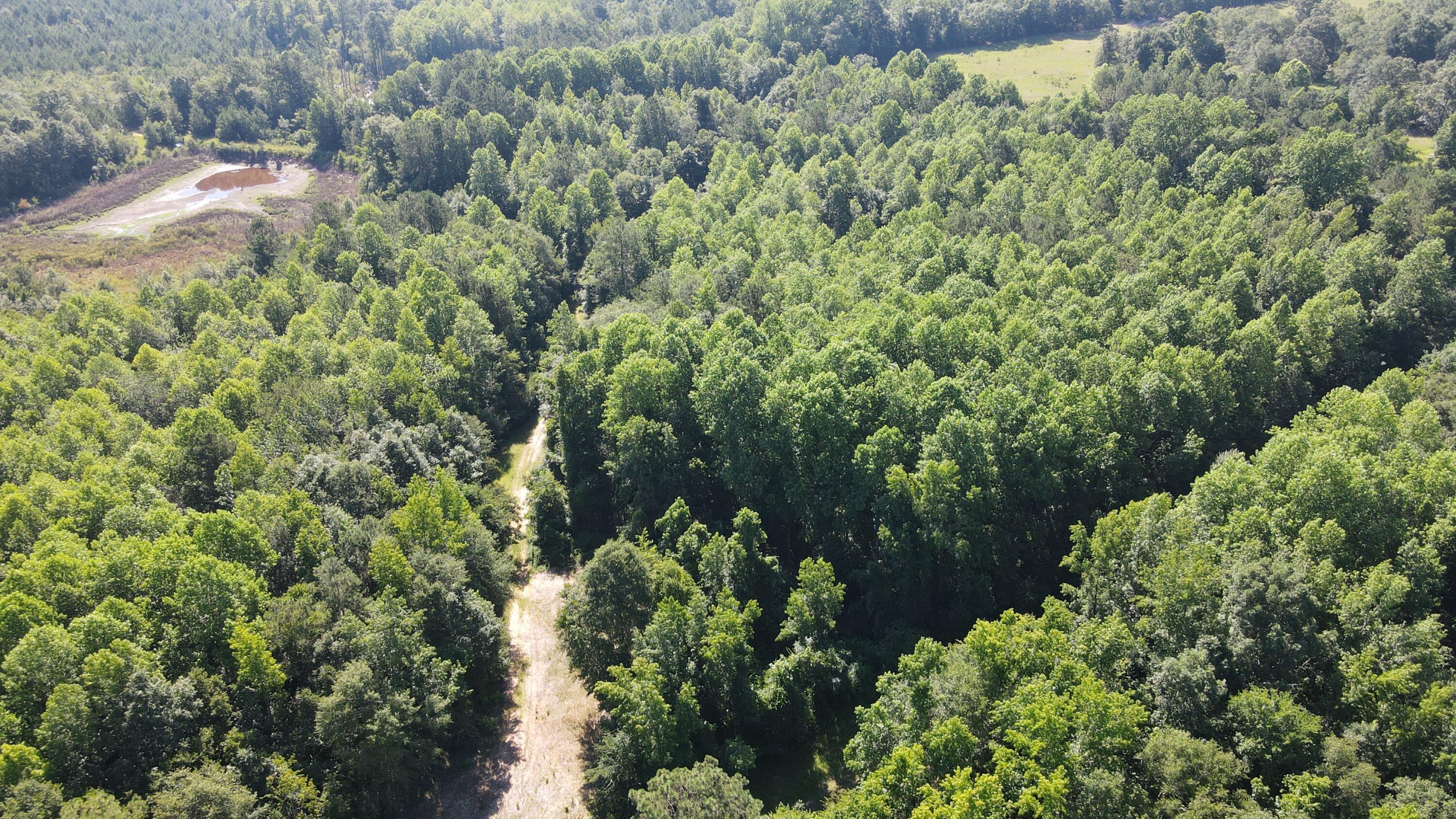Property Photo: 0 Eley Road GA 30810
