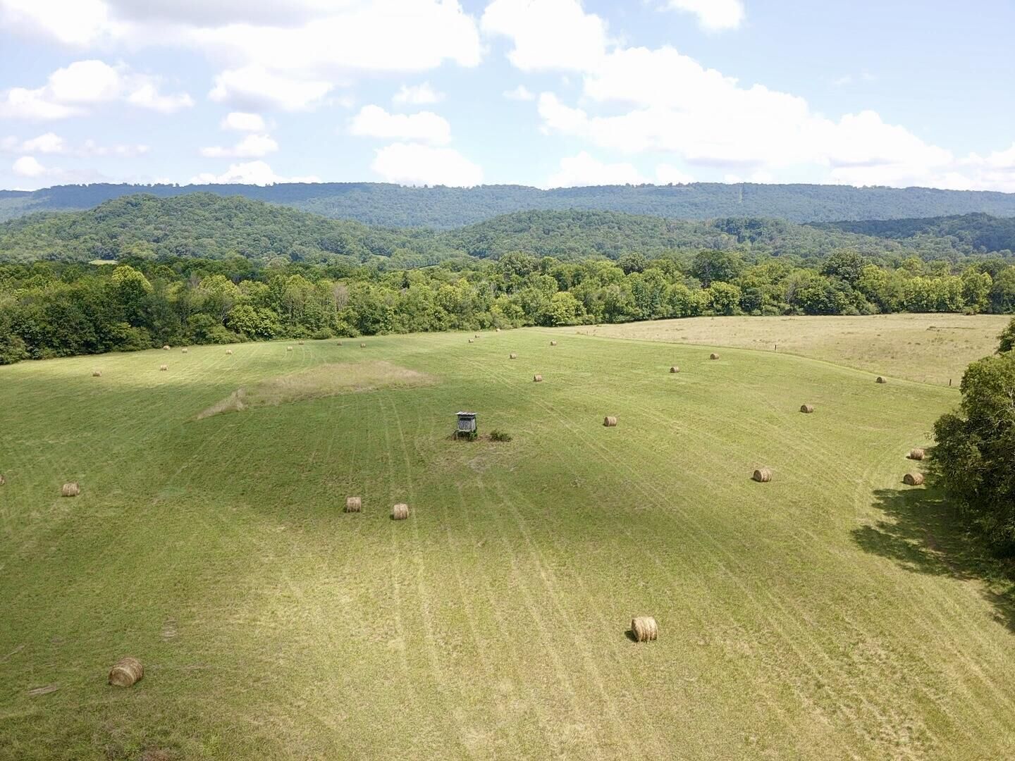 Property Photo: 0 County Road 494 AL 35958