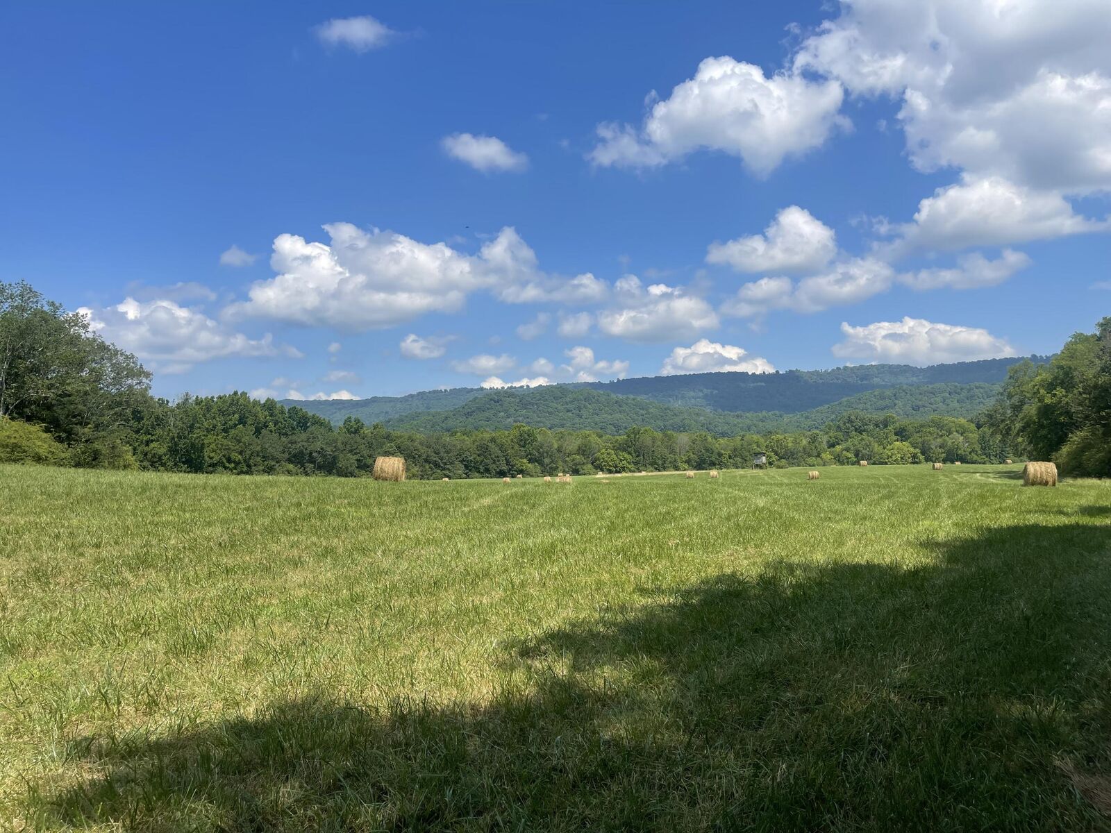 Property Photo: 0 County Road 494 AL 35958