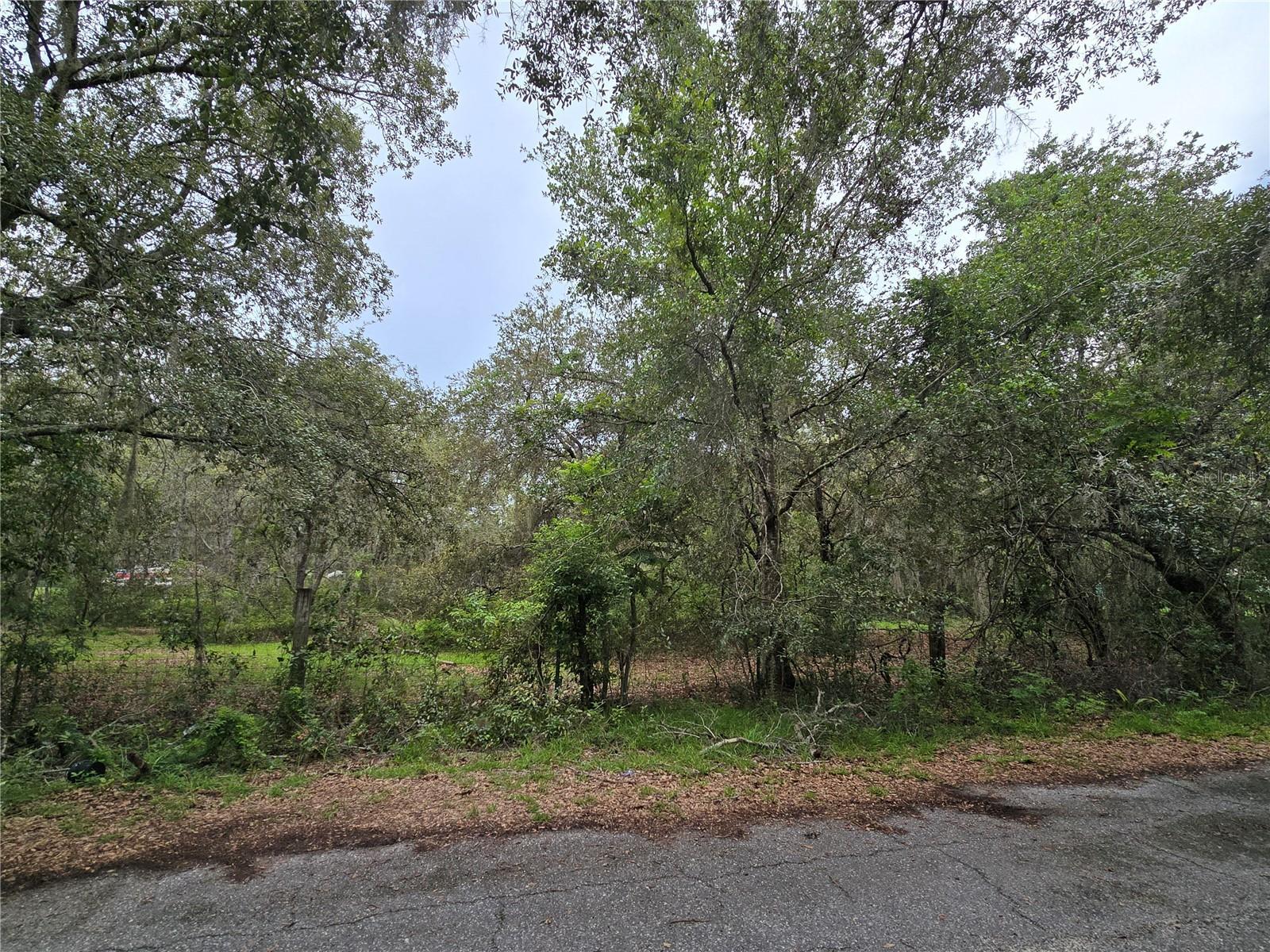 Property Photo: 13311 Midway Avenue FL 34705