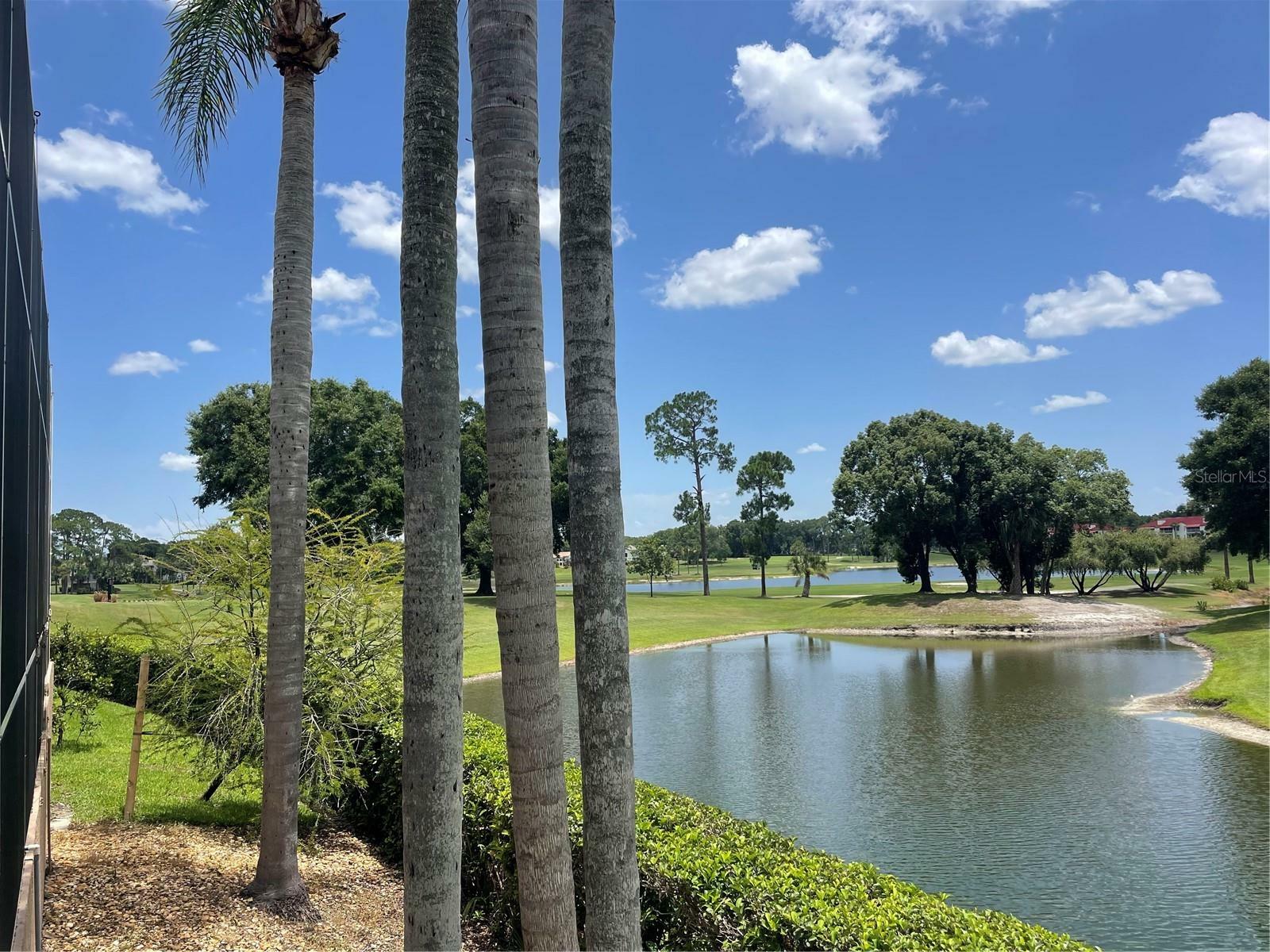 Property Photo: 643 Cricklewood Terrace FL 32746