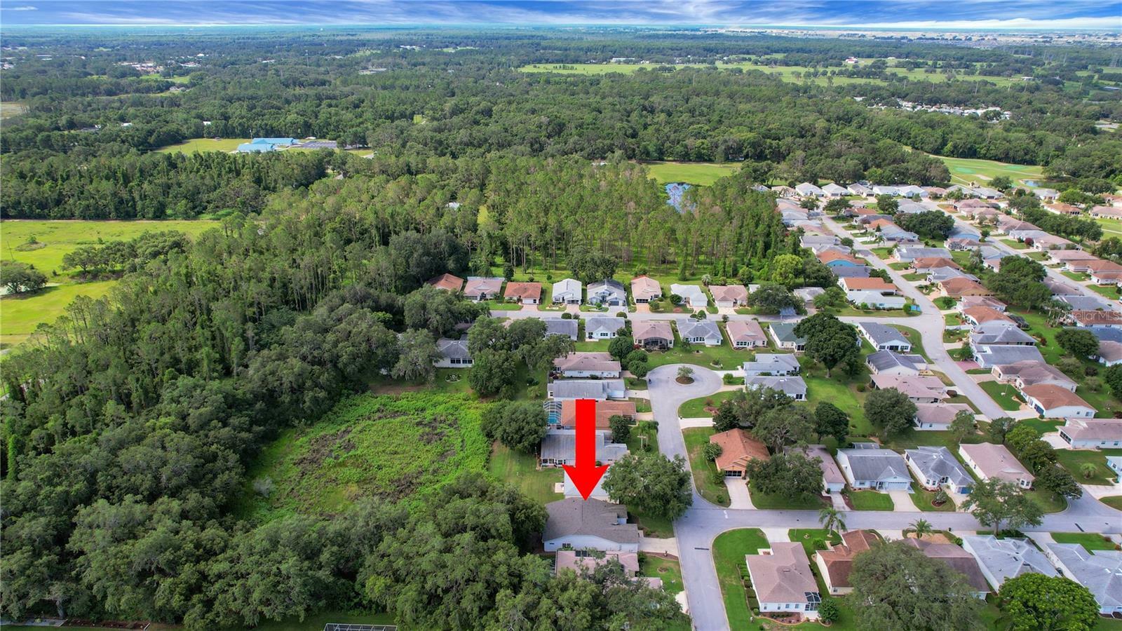Property Photo: 32942 Rambling Oaks Court FL 34748