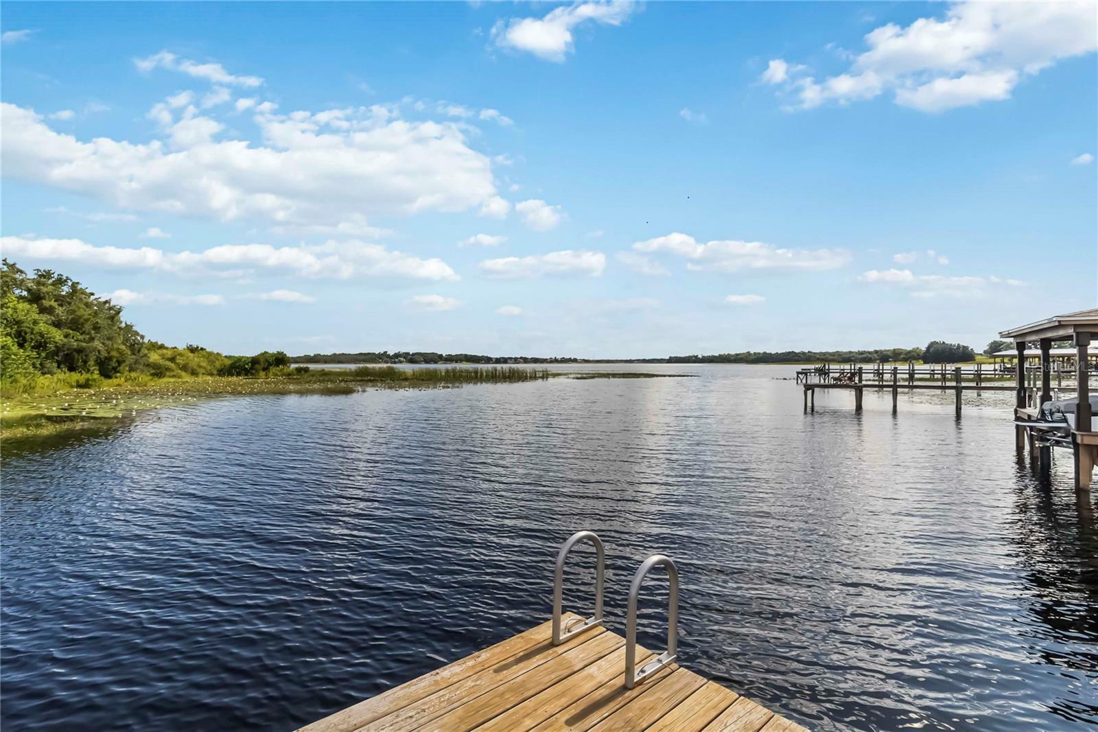 Property Photo: 3404 Shallow Cove Lane FL 34711