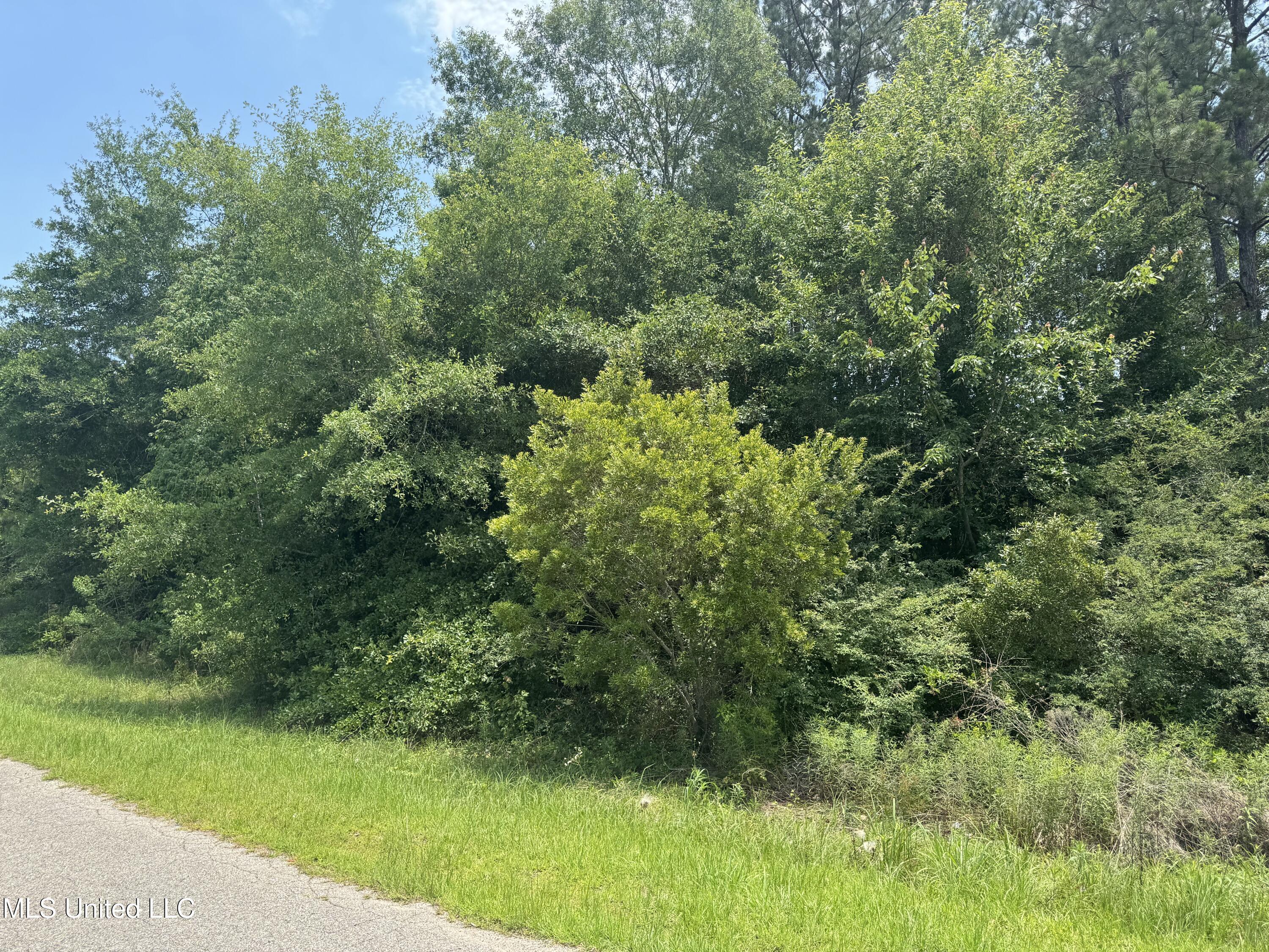 Property Photo: Bentwood Drive MS 39574