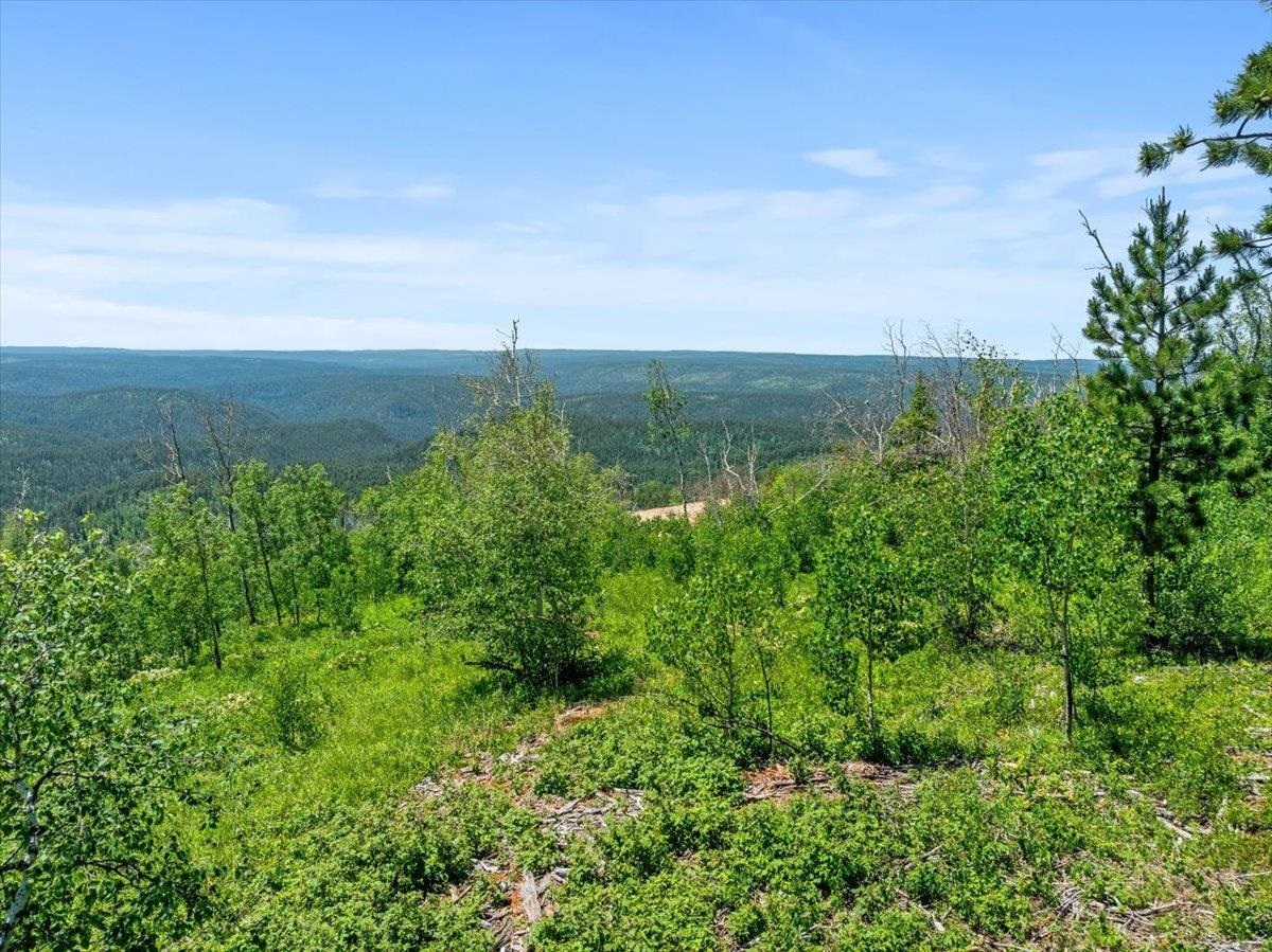 Property Photo:  Lot 1  SD 57754 