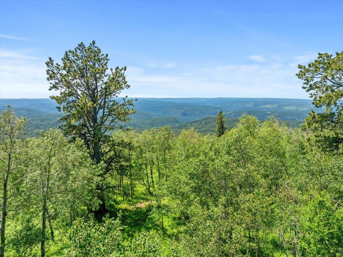 Property Photo:  Lot 3  SD 57754 