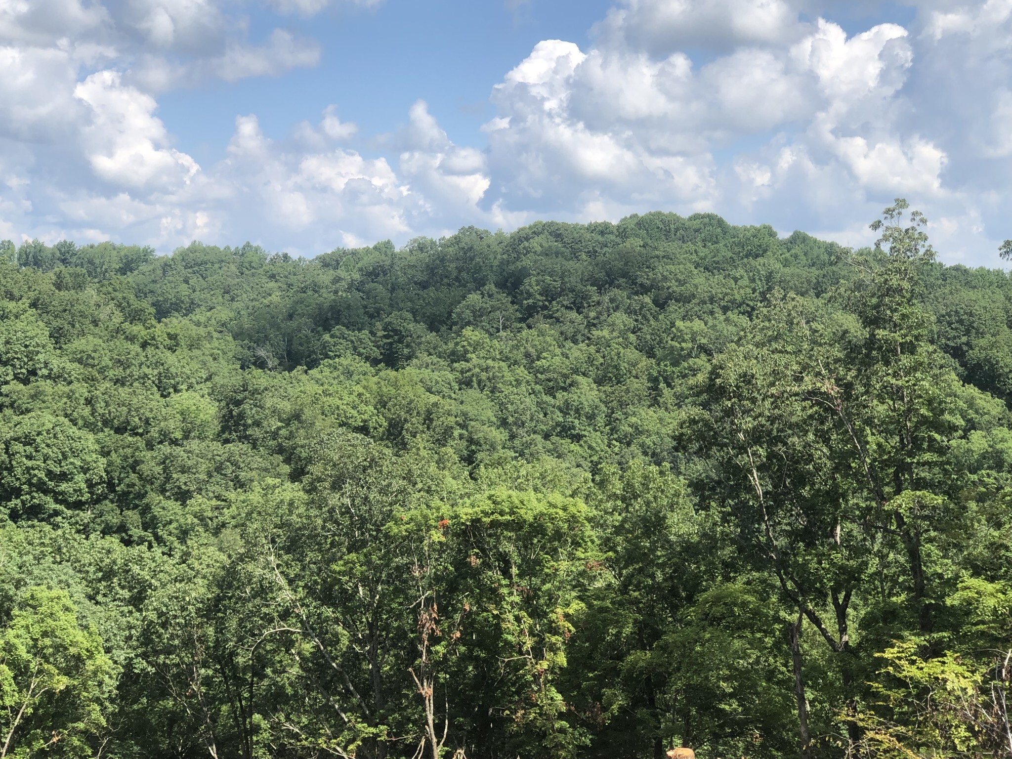 Property Photo: 1096 Paiute Trail TN 37143