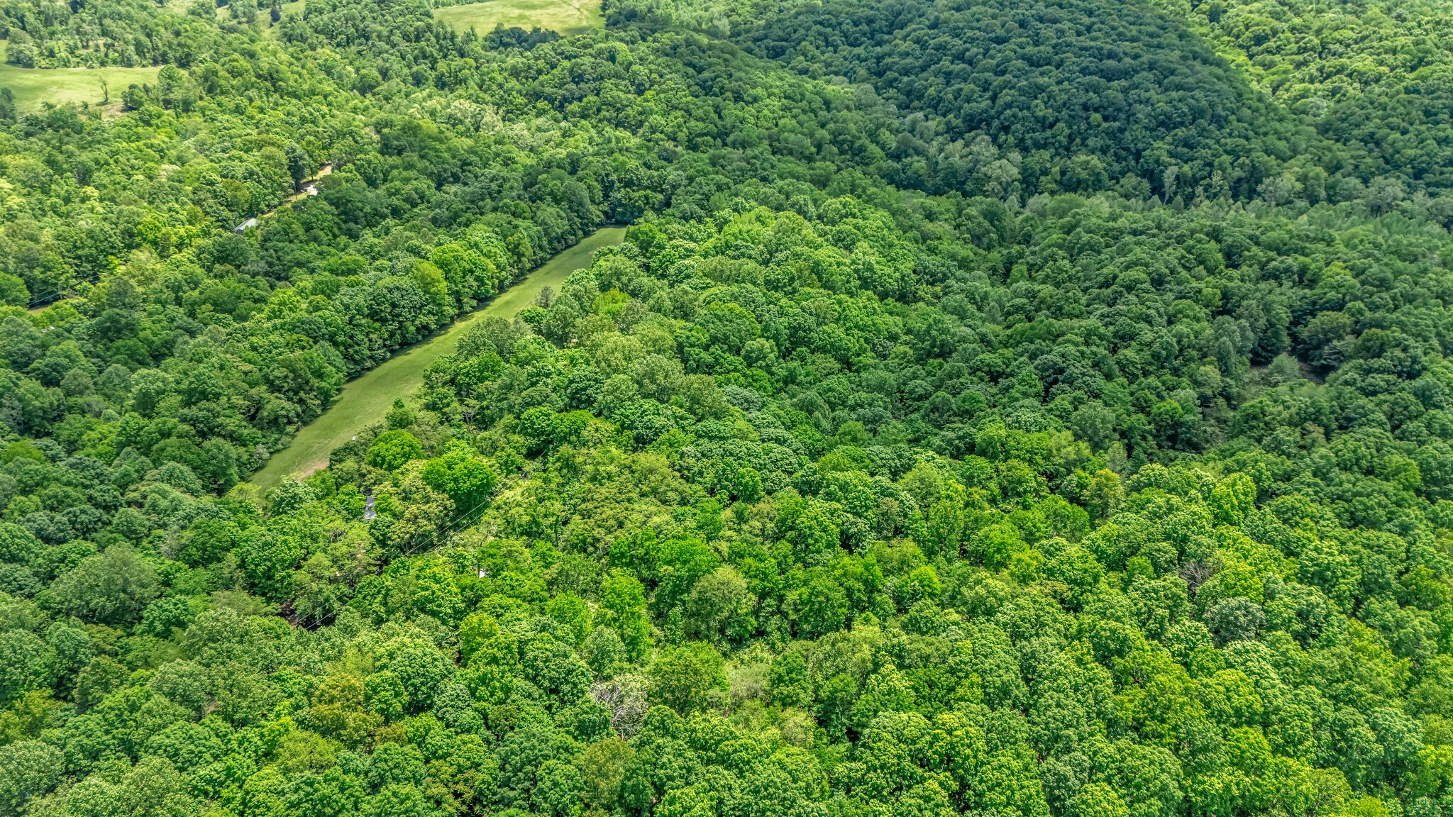 Property Photo: 1441 Dividing Ridge Rd TN 37072