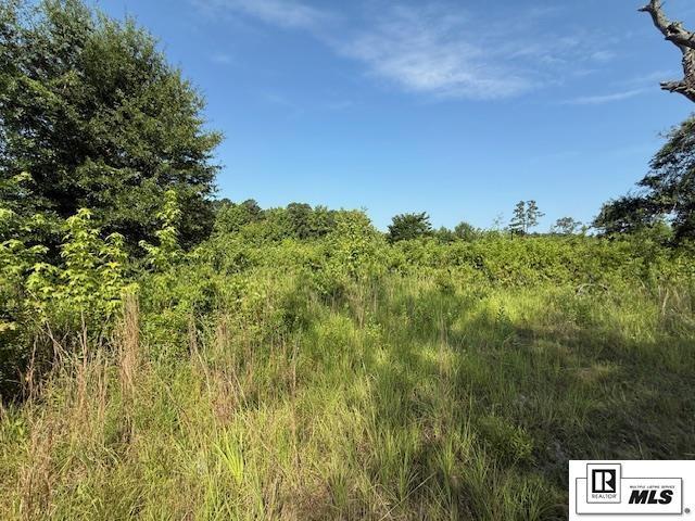 Property Photo: 4434 Highway 33 LA 71260