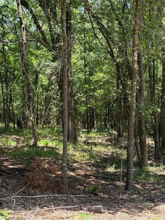 Property Photo: Tbd Pr 5861 (Lot 3) TX 75497