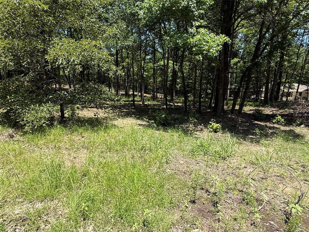 Property Photo: Tbd Pr 5861 (Lot 2) TX 75497