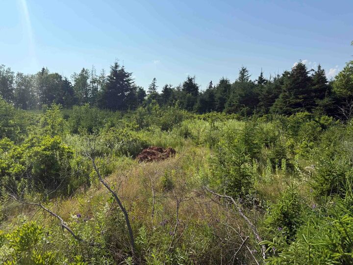 Property Photo:  46 Sheri Court  PE C0B 2C0 