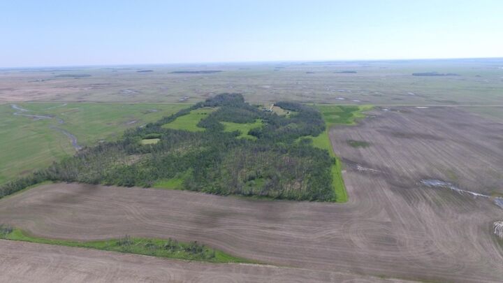 81068 Range Road 225  Rural Northern Sunrise County AB T0H 1S0 photo