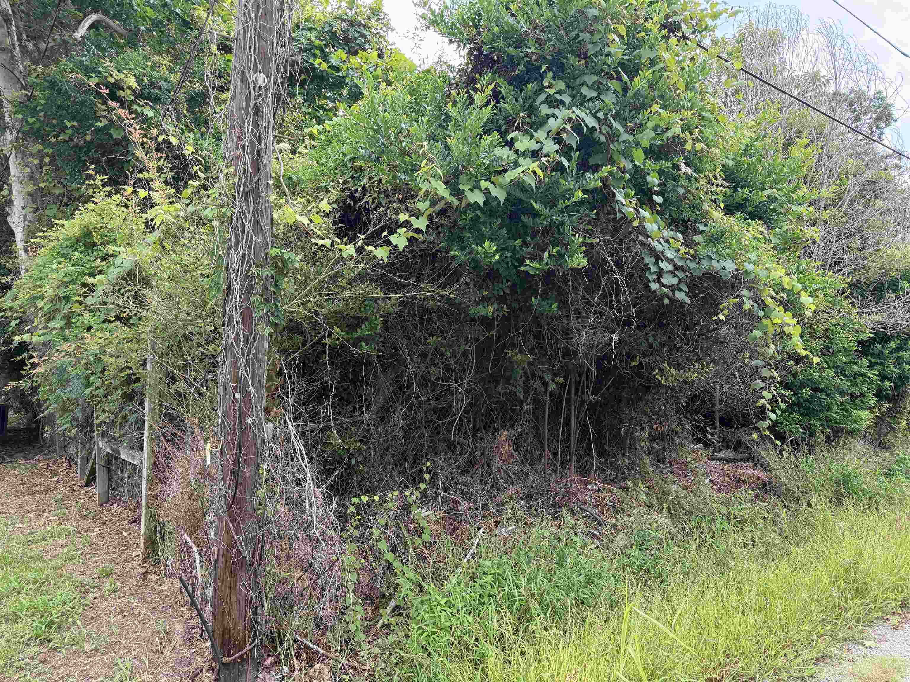 Property Photo:  808 W Hart  TX 77630 
