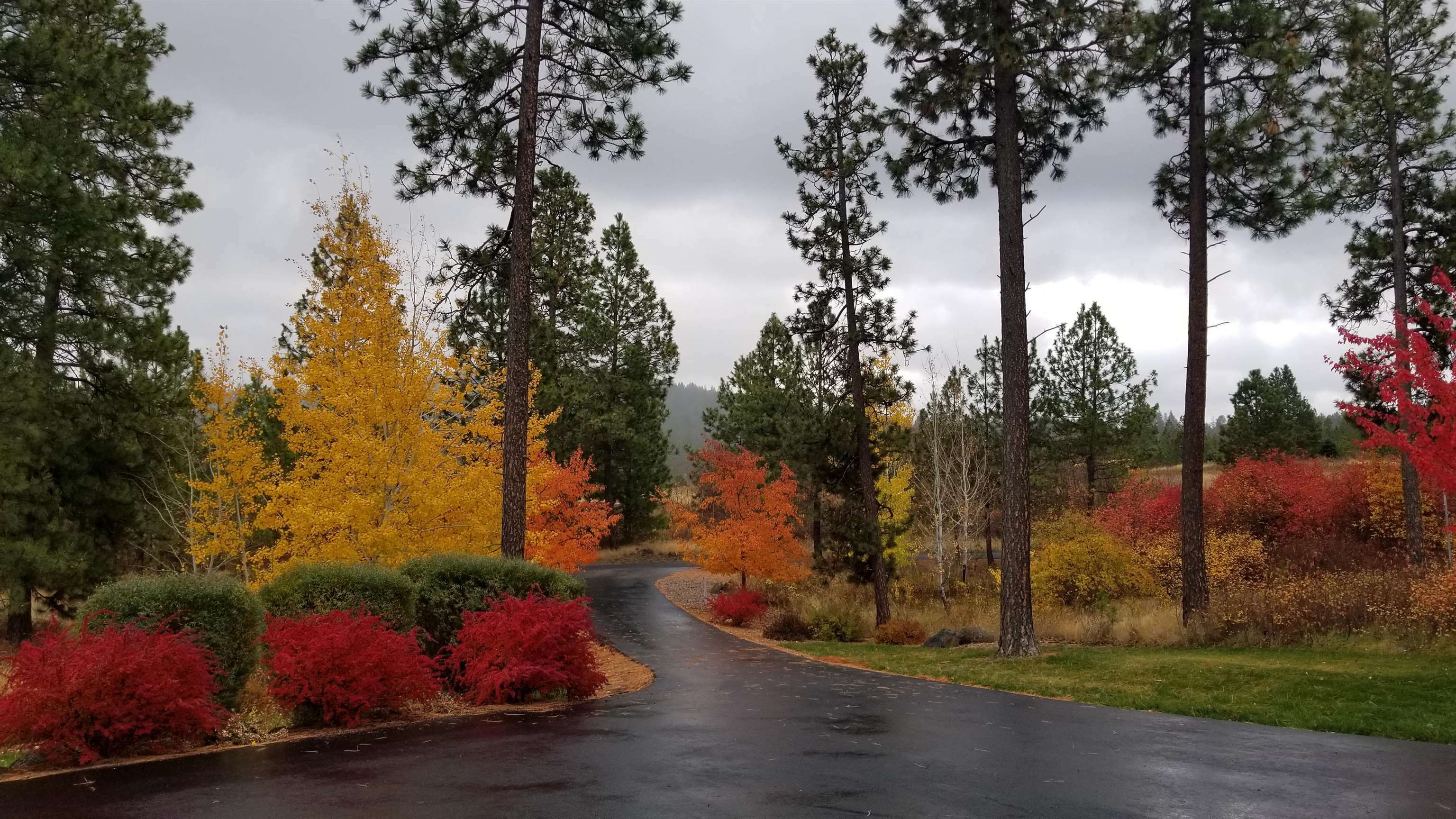 Property Photo: 7116 S Linke Rd WA 99016