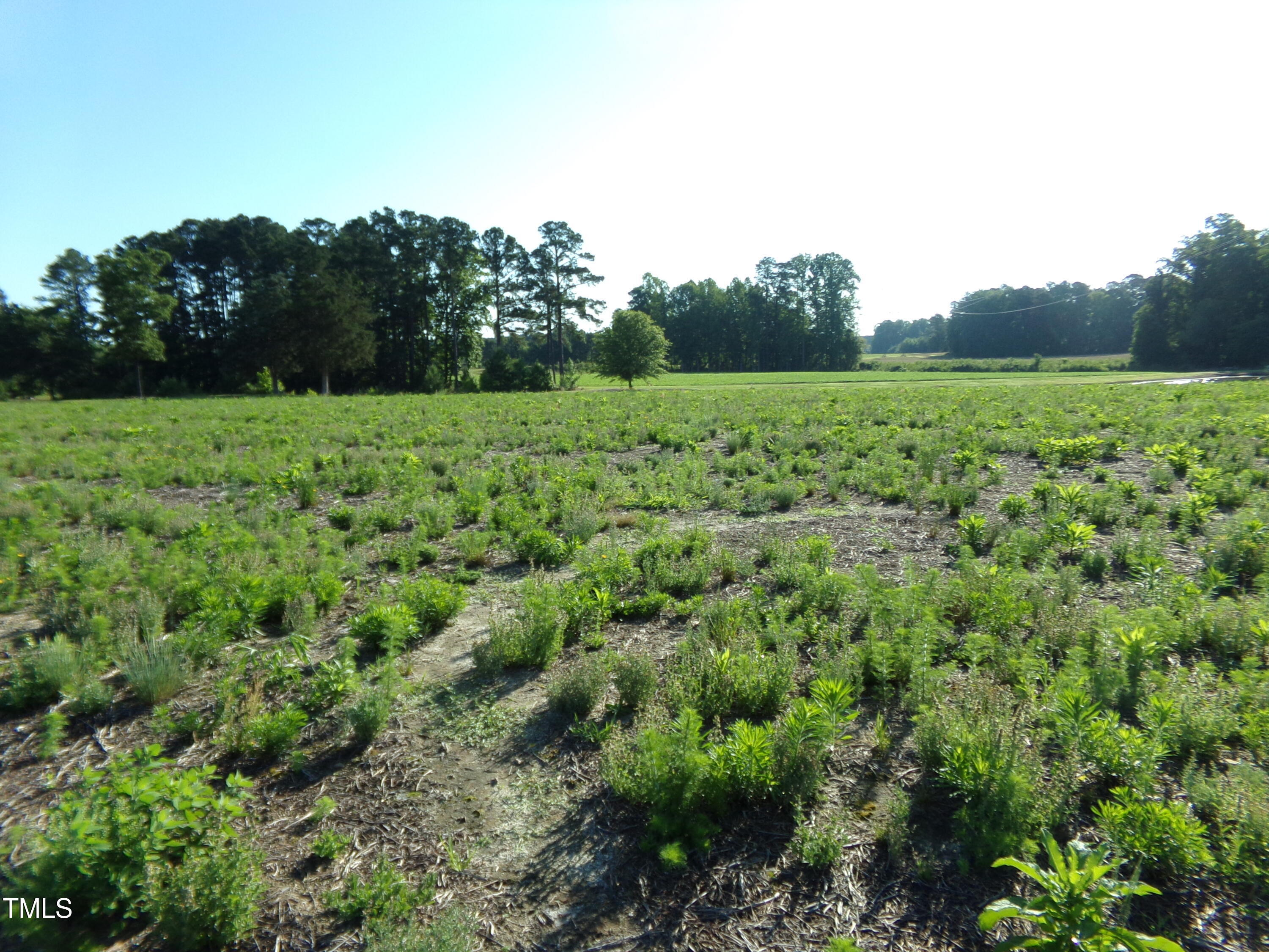 Property Photo: Lot 6 Triskel Lane NC 27597