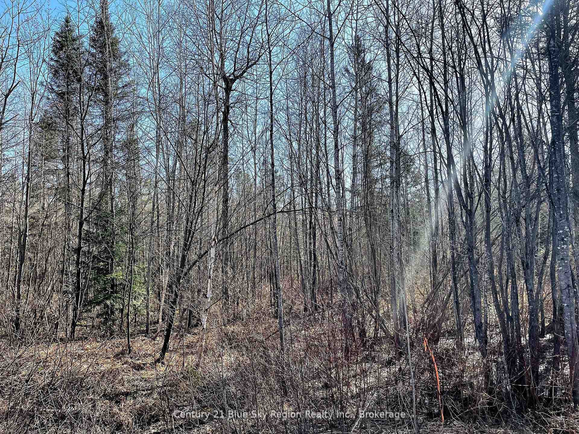 Property Photo:  Part 2 Bourbonnais Road  ON P0H 1M0 