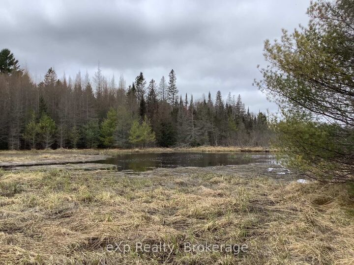 Property Photo:  Con 1 Lot 12 N/A  ON P0A 1X0 