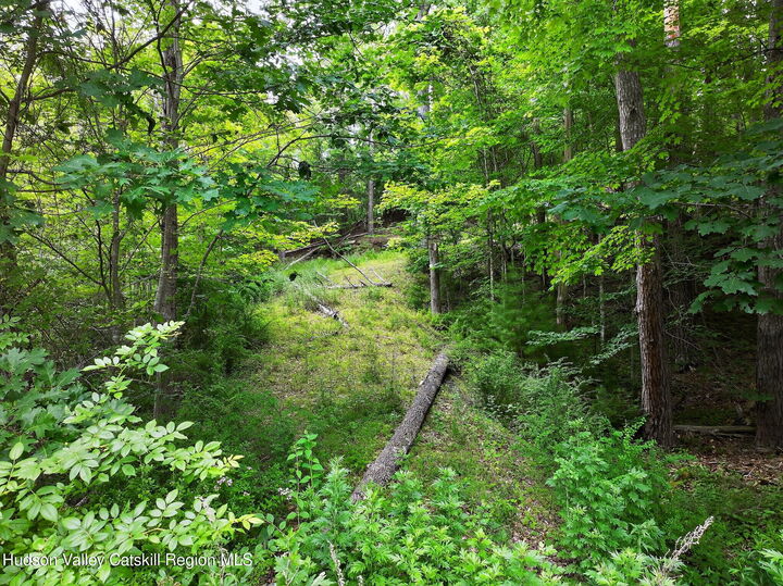 Property Photo:  4912 Ny-212  NY 12495 