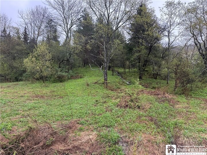 Property Photo:  0 Morgan Hollow Road  NY 14737 
