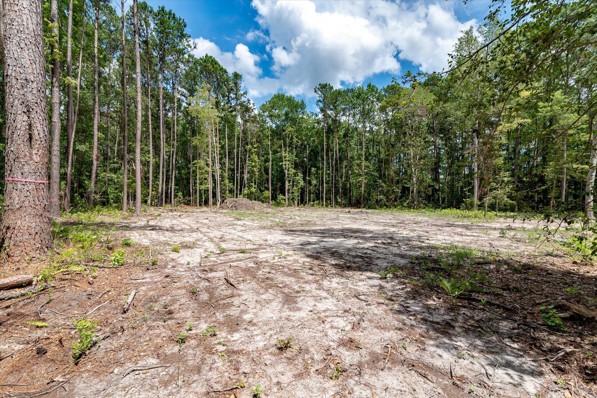 Property Photo: 98 Manatee Lane SC 29446