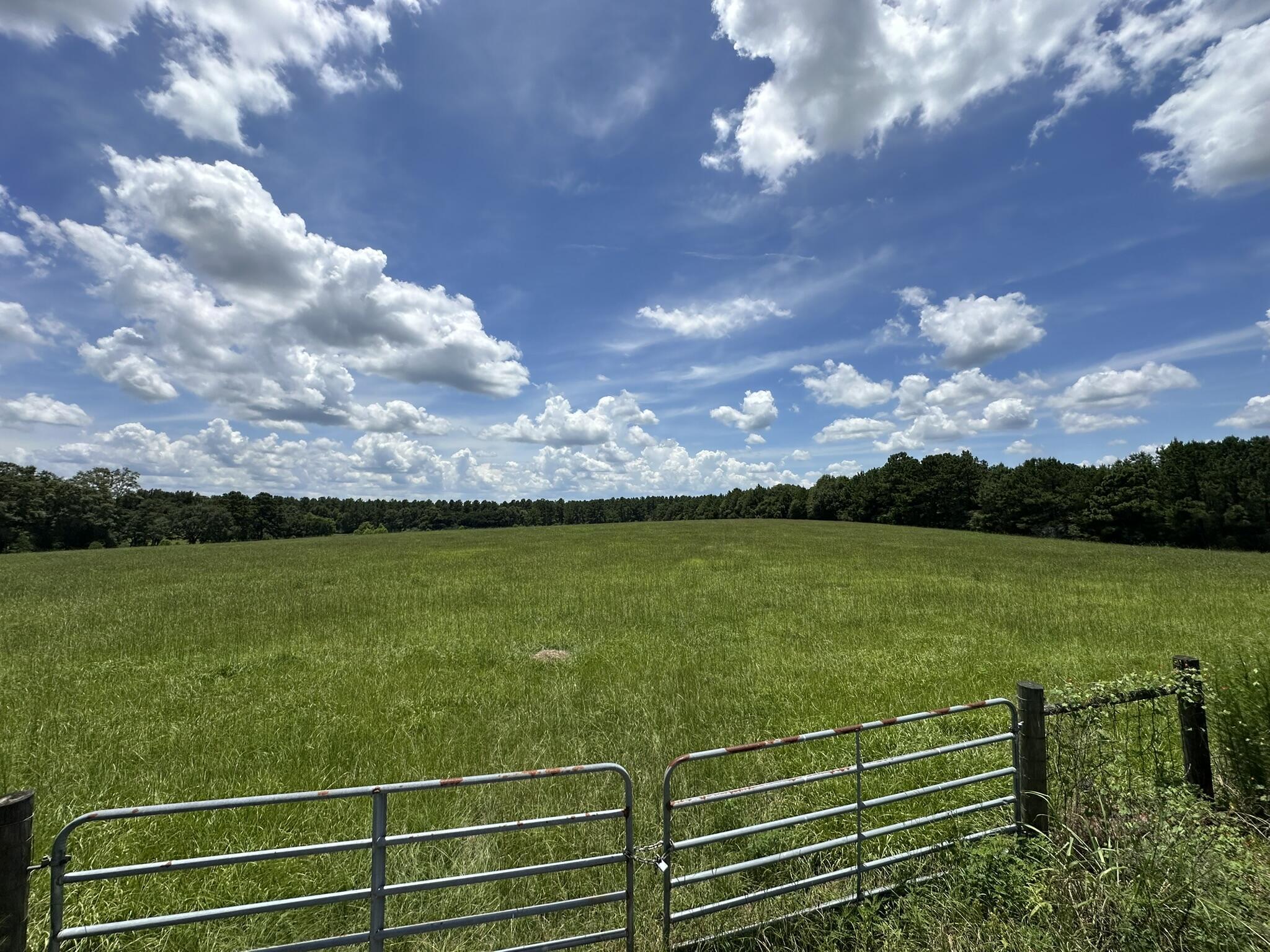 Parcel A Hub Presley Road  Laurel Hill FL 32567 photo