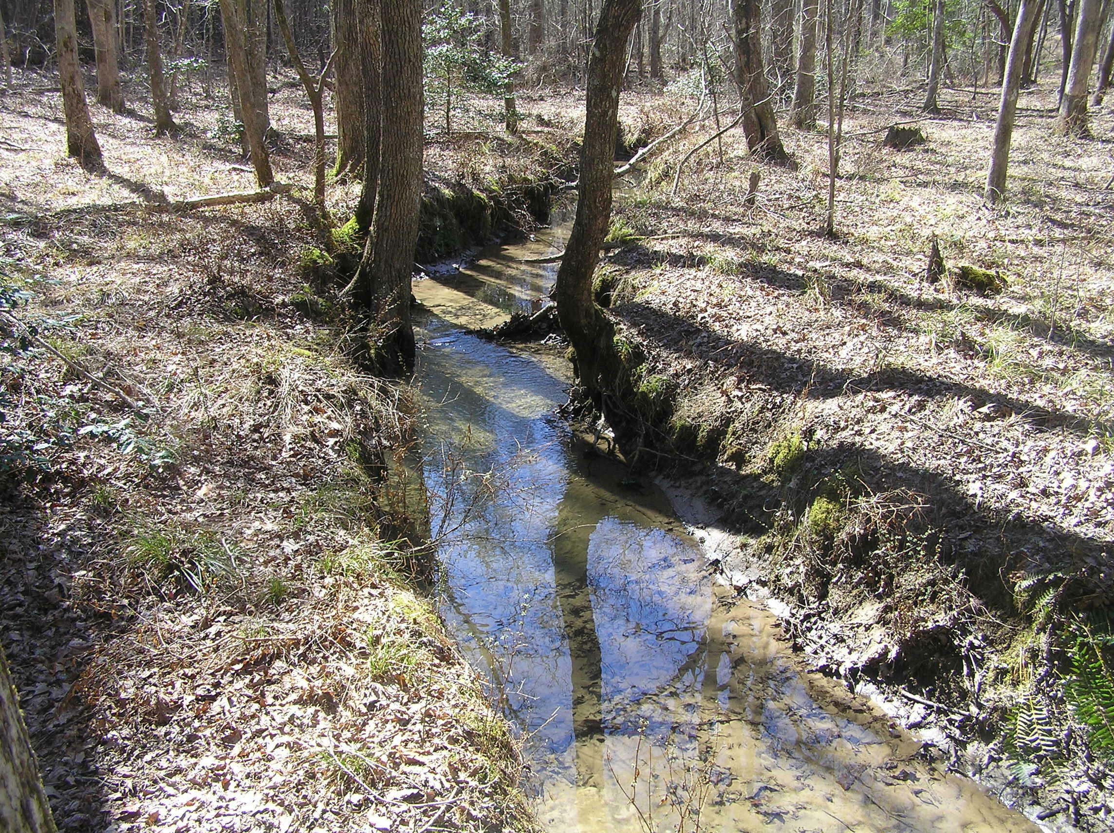 Property Photo: 66 Indian Trail Drive TN 38585