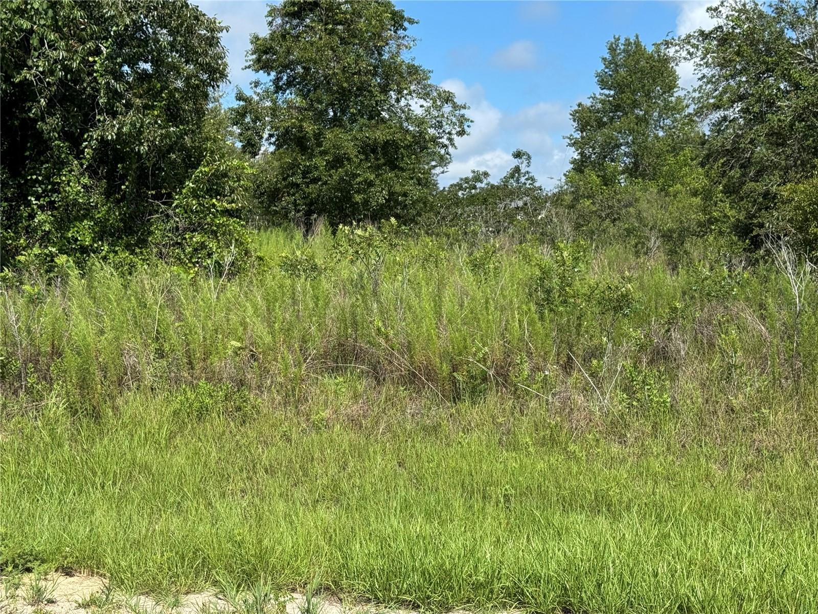 Property Photo: 413 E Parker Loop FL 34434
