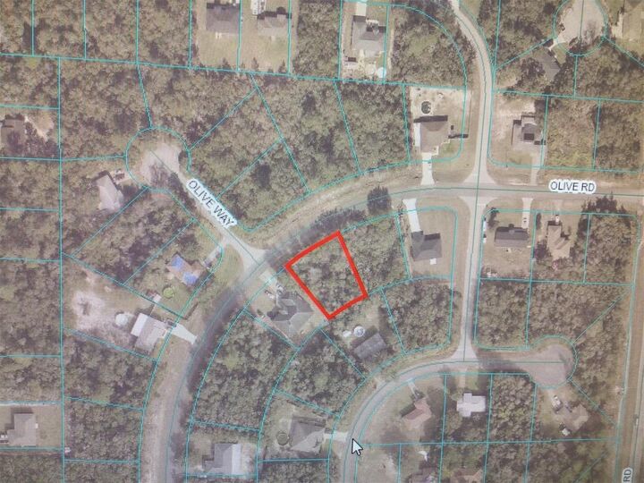 Property Photo: 0 Olive Road FL 34473