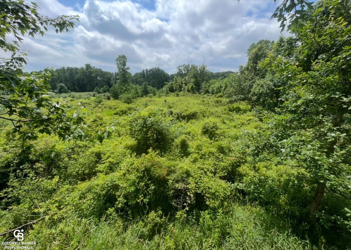 Property Photo:  Yale Road  MI 48097 
