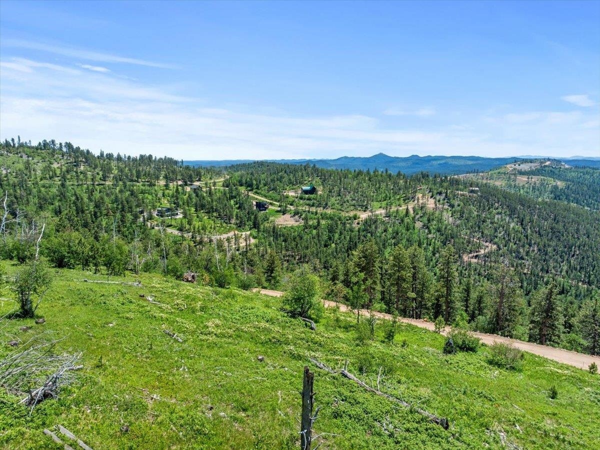 Lot 7 Wapiti Road  Lead SD 57754 photo