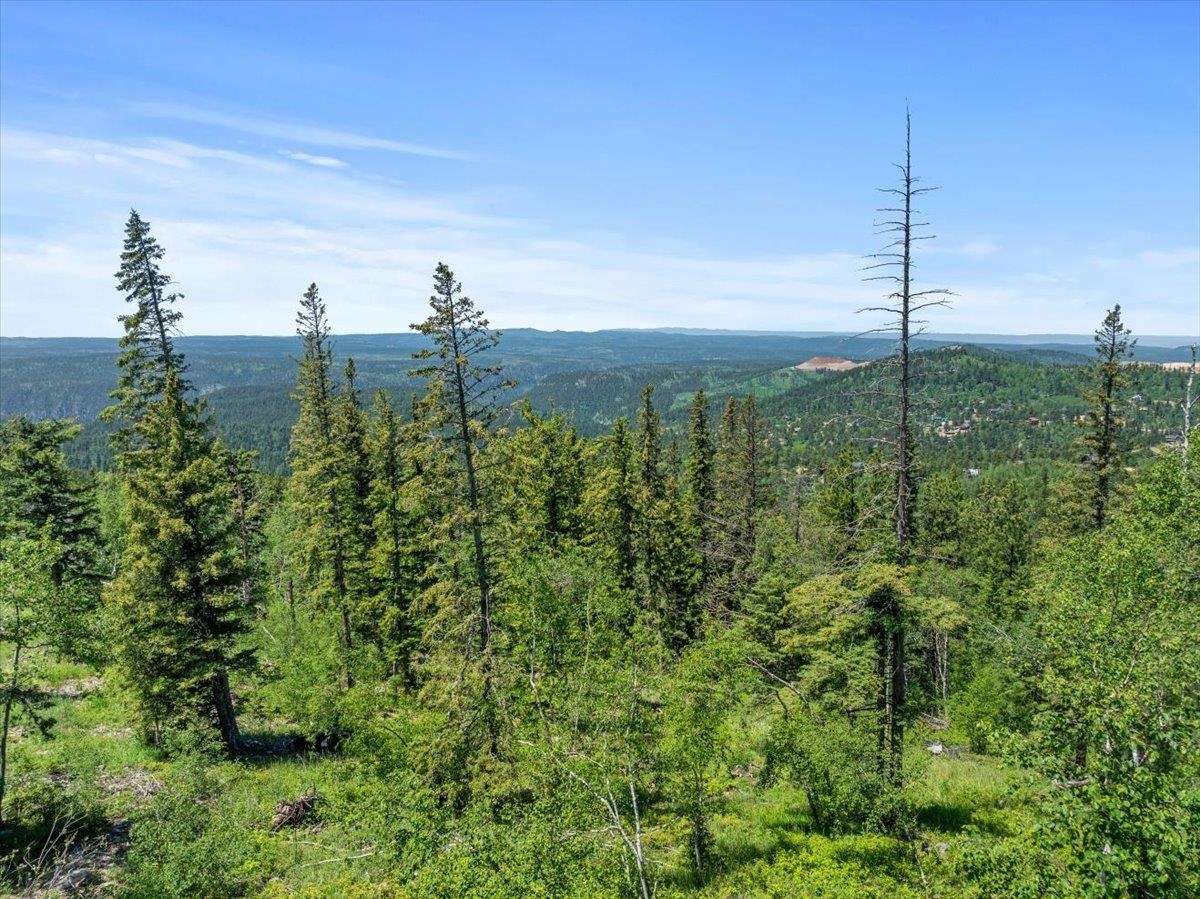 Property Photo:  Lot 4  SD 57754 