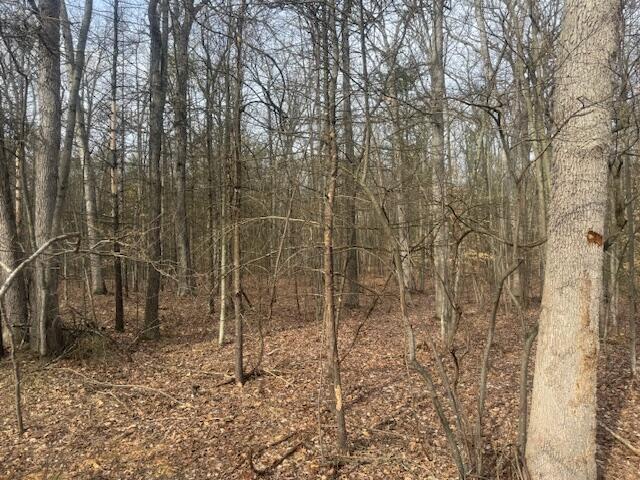 Property Photo: 0 E Meinert Road MI 49425