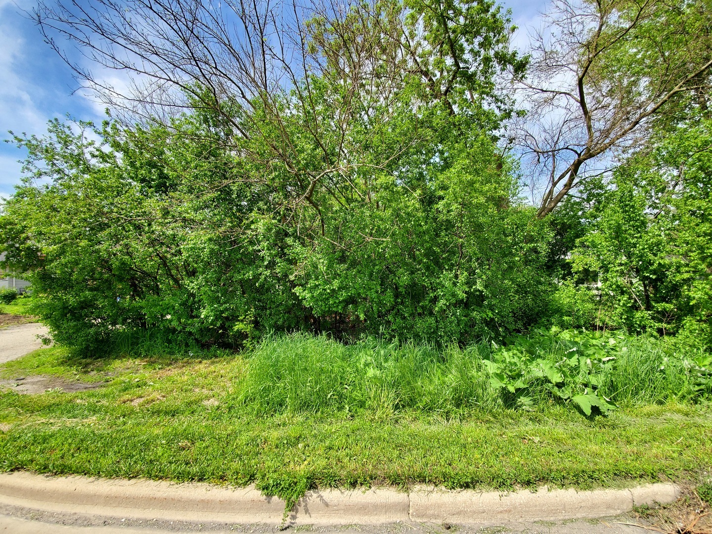 Property Photo: 2059 W Roosevelt Road IL 60187