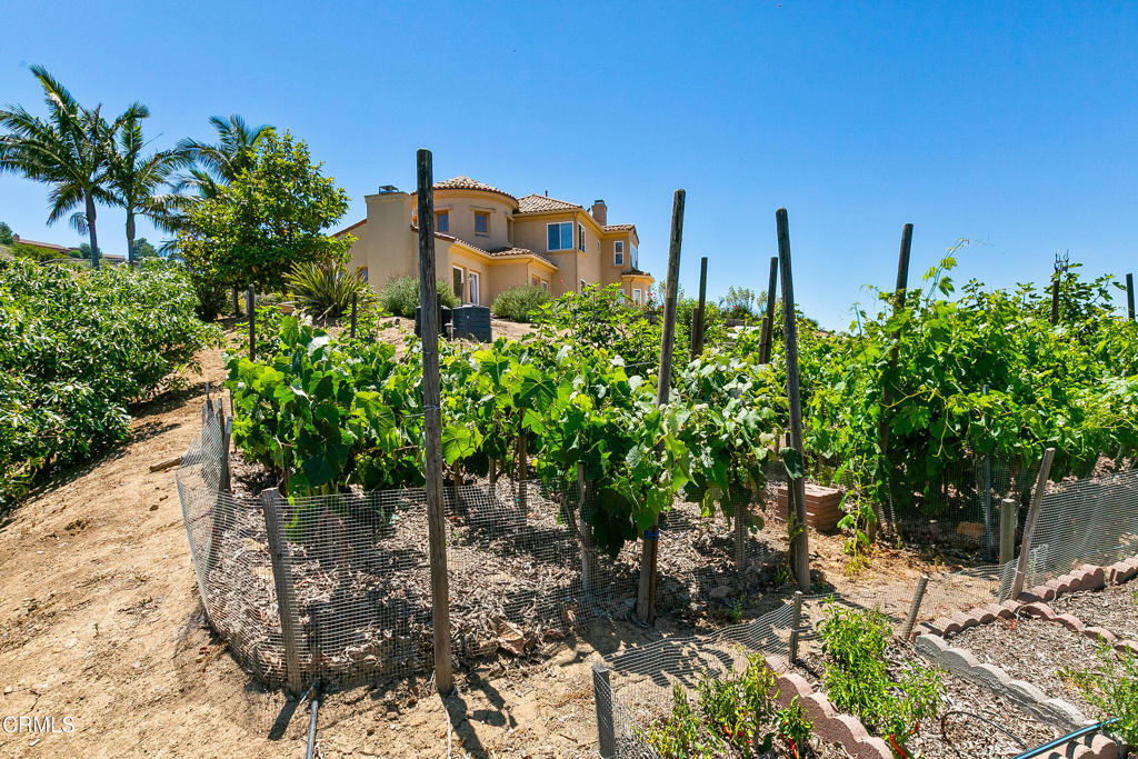 Property Photo: 12127 Presilla Road CA 93012