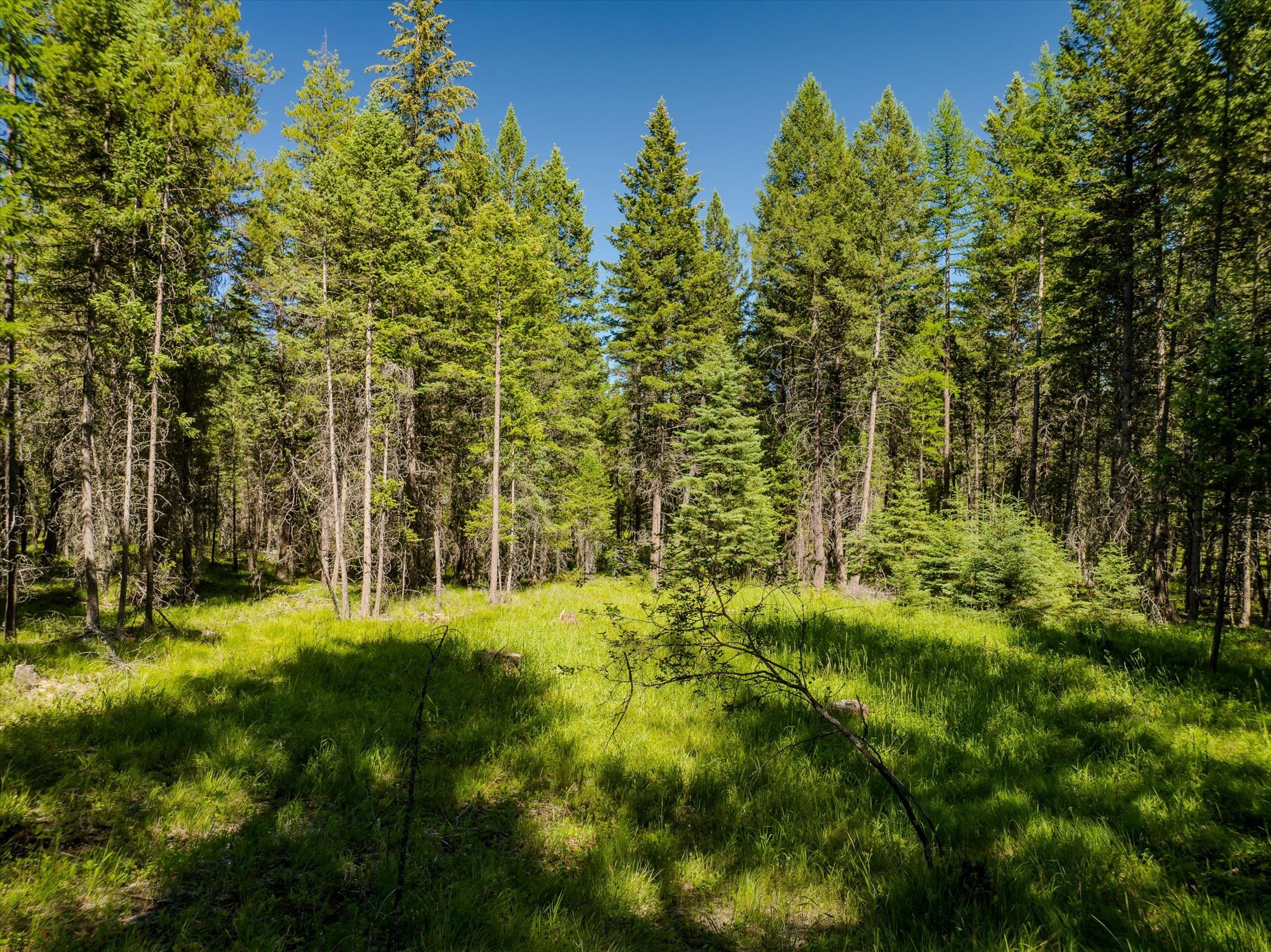 Property Photo: Nhn Rocky Point Road MT 59901