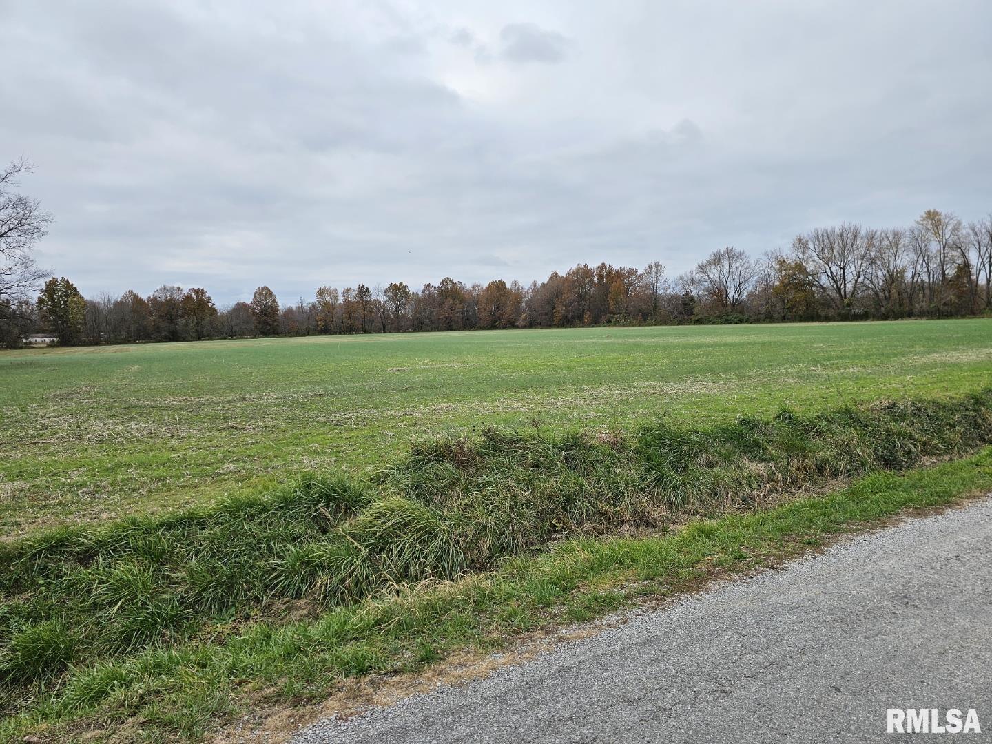 Property Photo: 0000 Bethel Road IL 62864