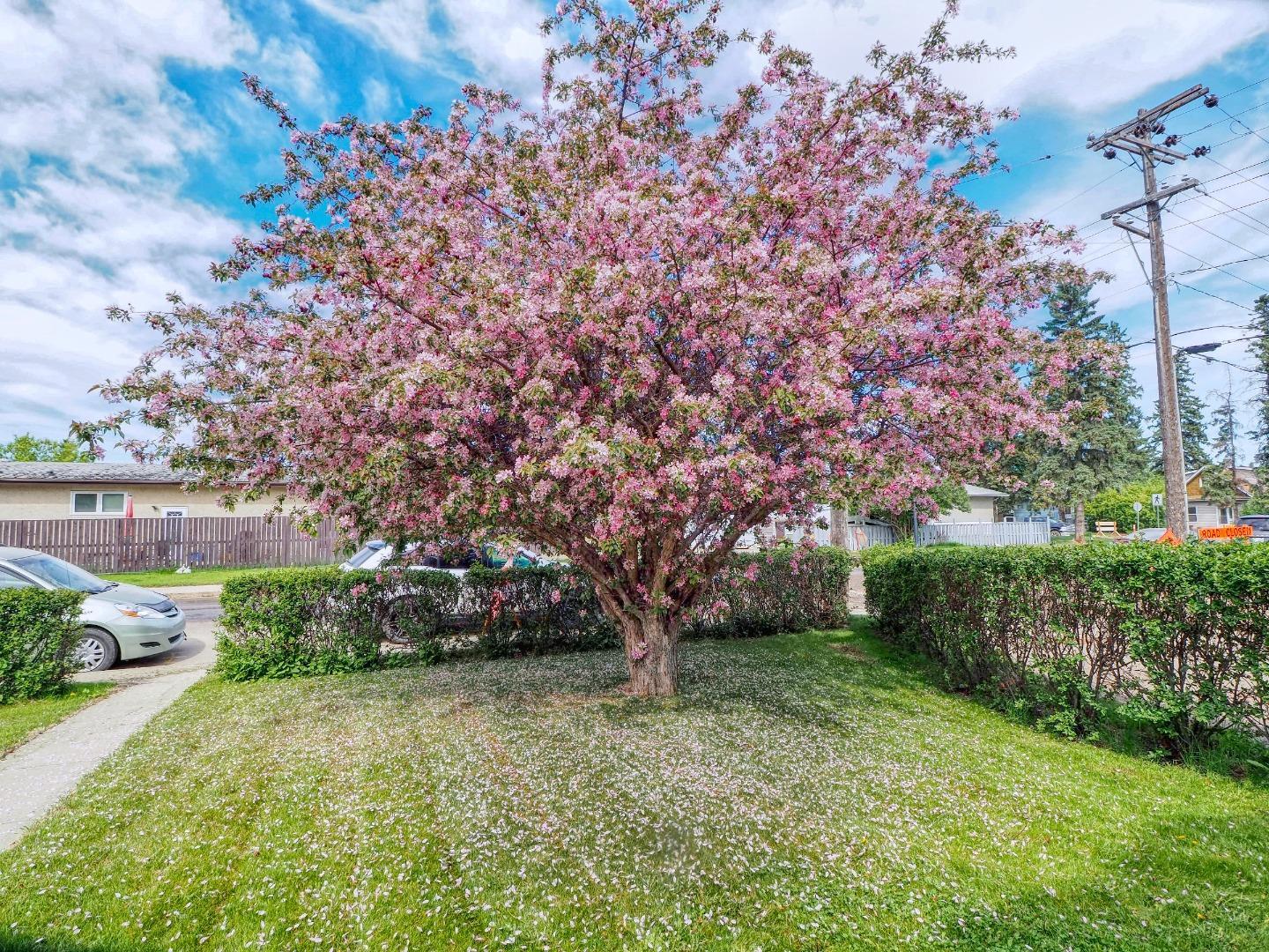 Photo de la propriété: 3429 55 Avenue AB T4N 5L4