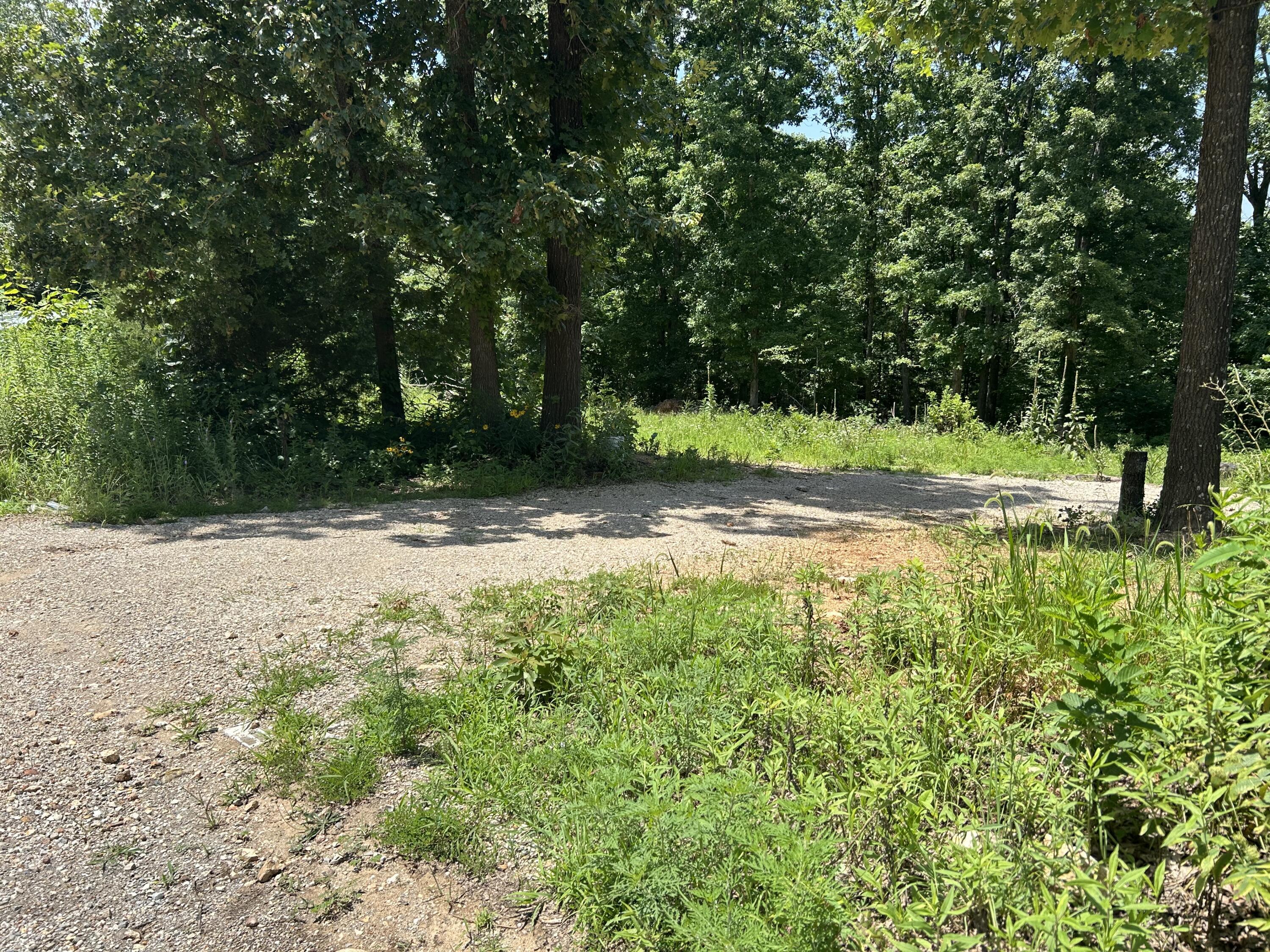 Property Photo: 58 Timber Ridge Road AR 72554