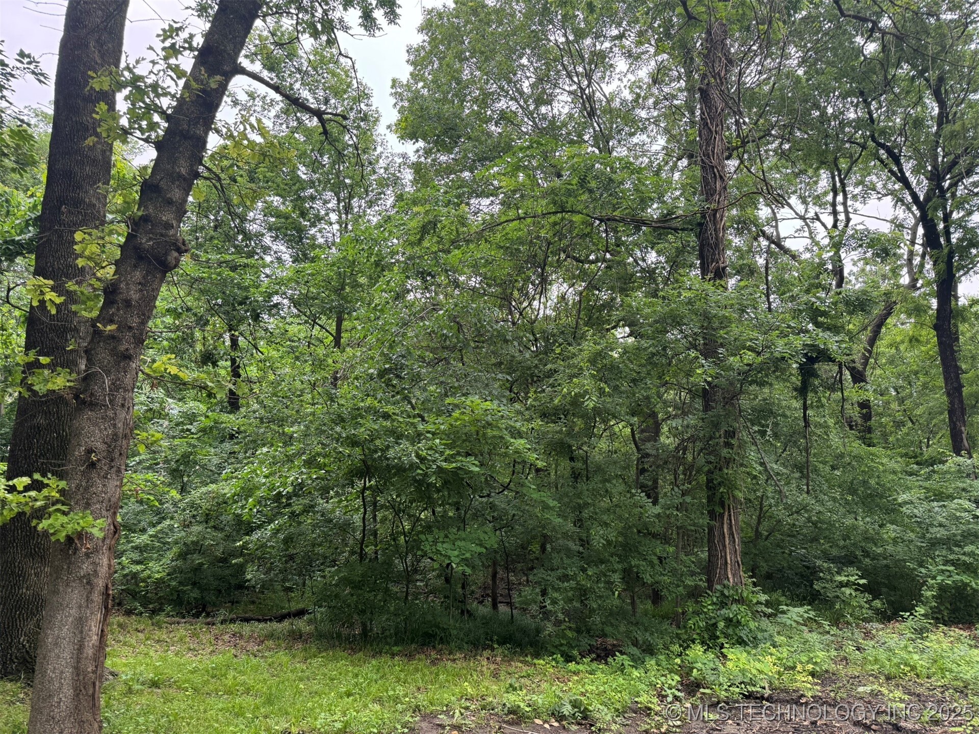 Property Photo:  0 S Maple Street  OK 74019 