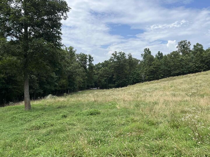 Property Photo:  385 Walnut Grove Circle  AR 72554 