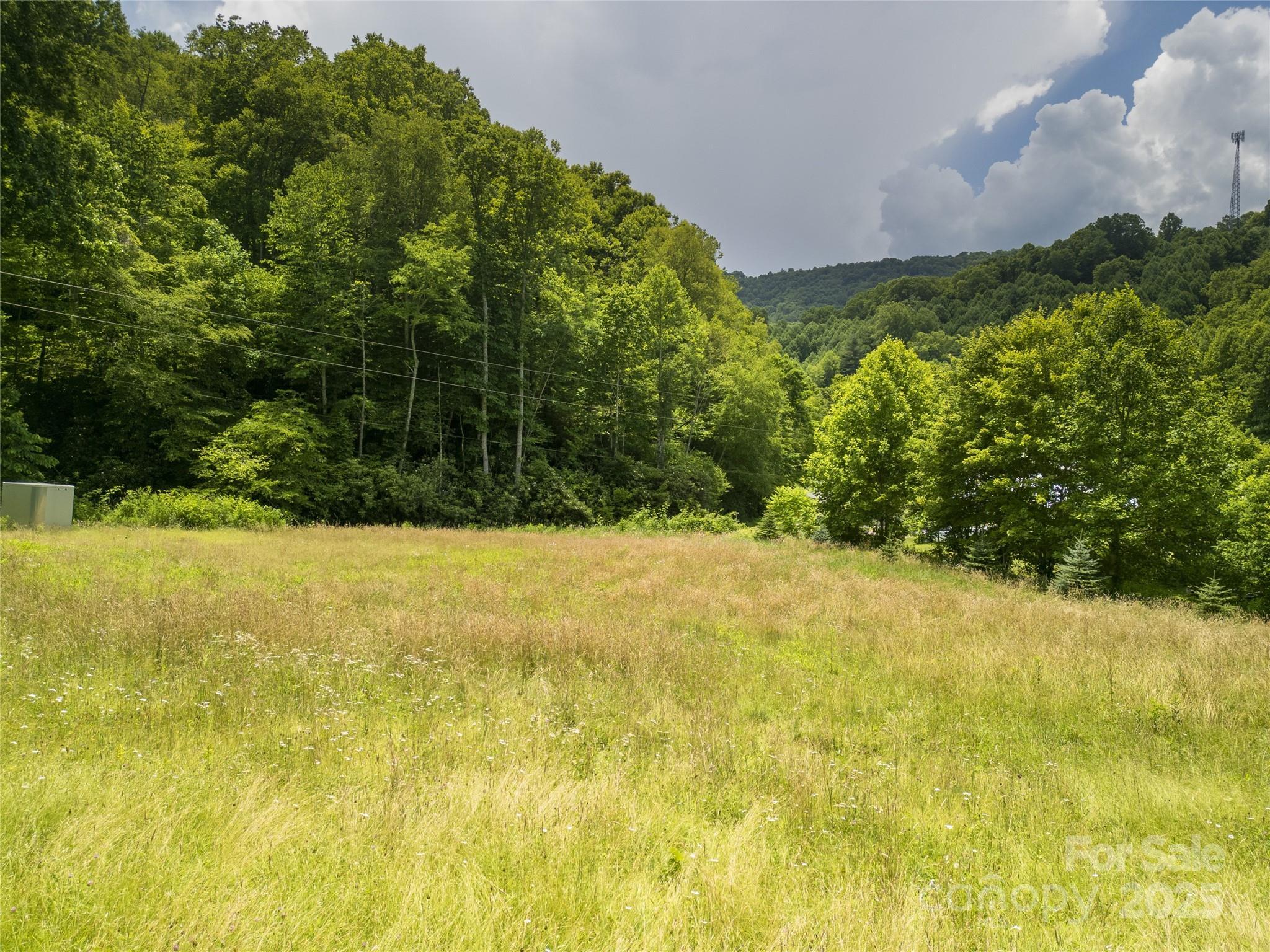 Property Photo: 168 Smith Creek Road NC 28754