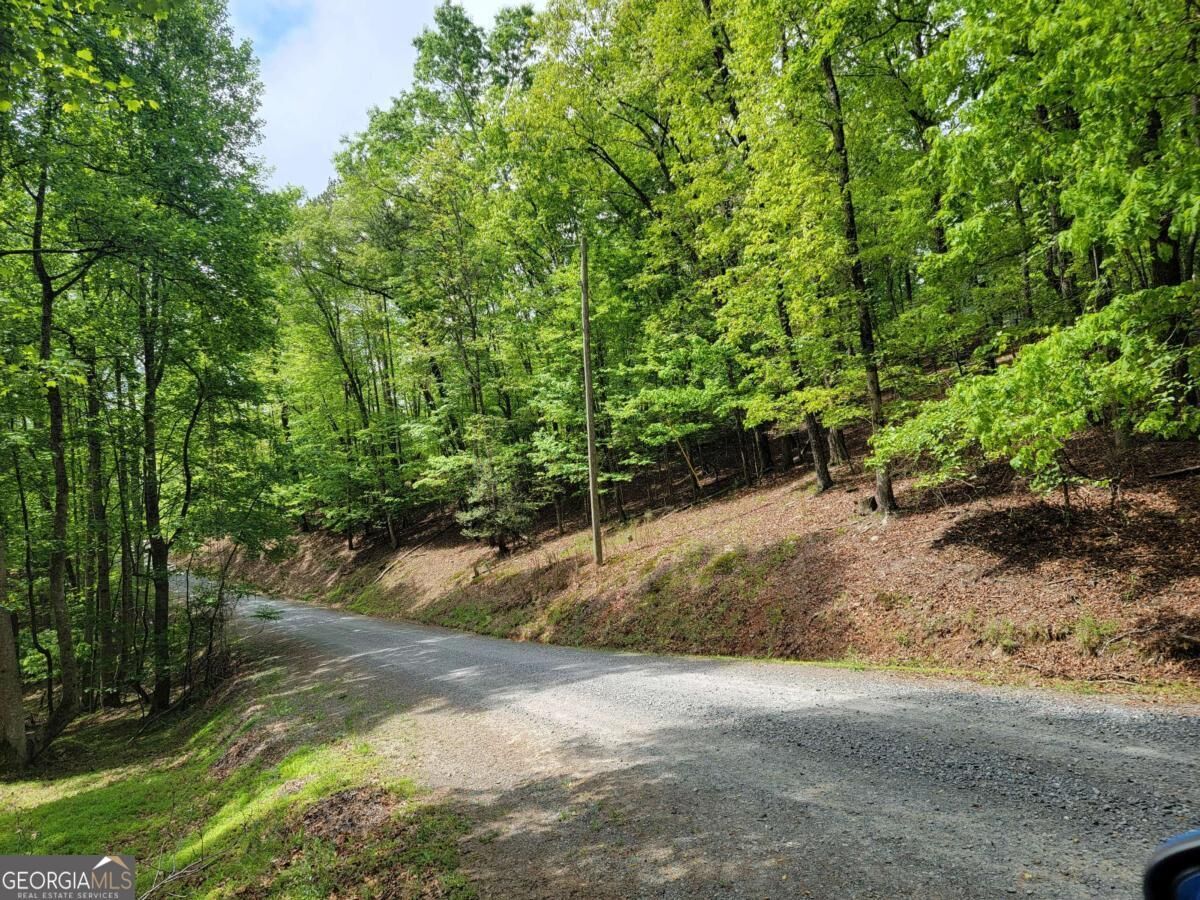 Property Photo: Lt 563 Nexus Drive GA 30540