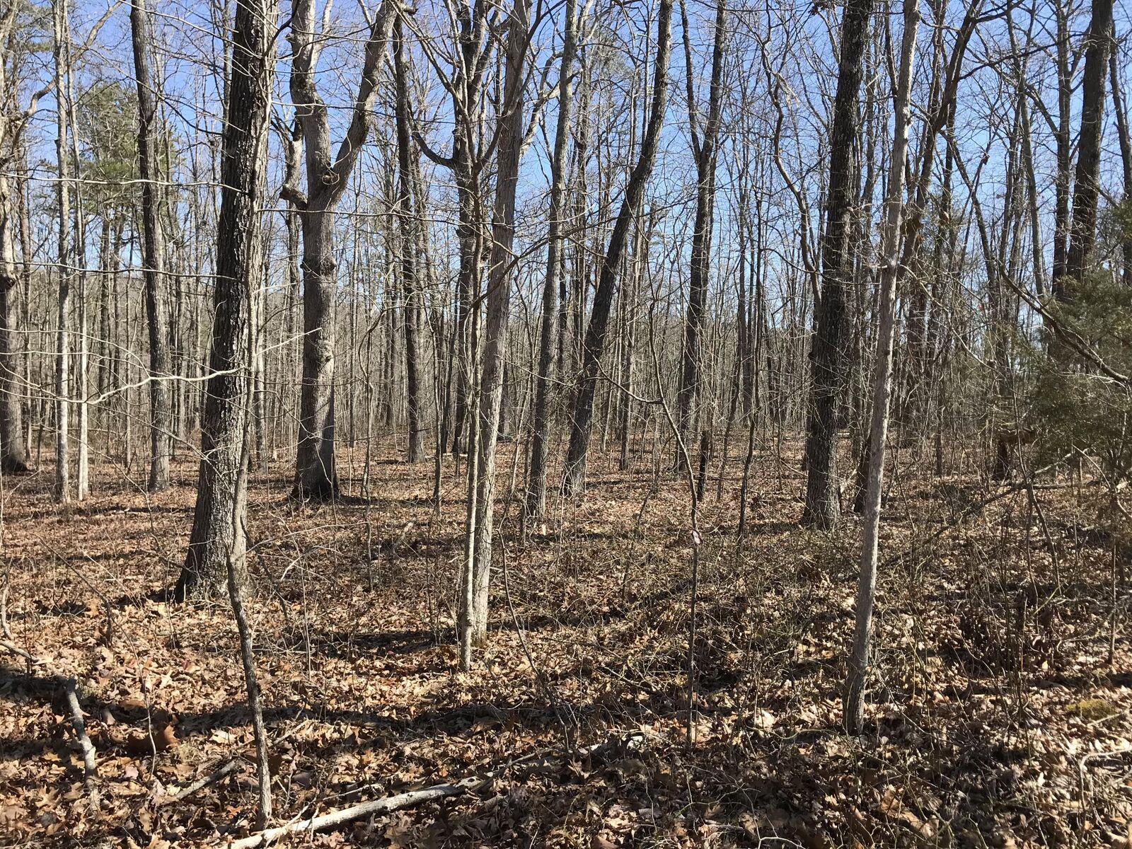 Property Photo: 3 Deerhead Road TN 37327