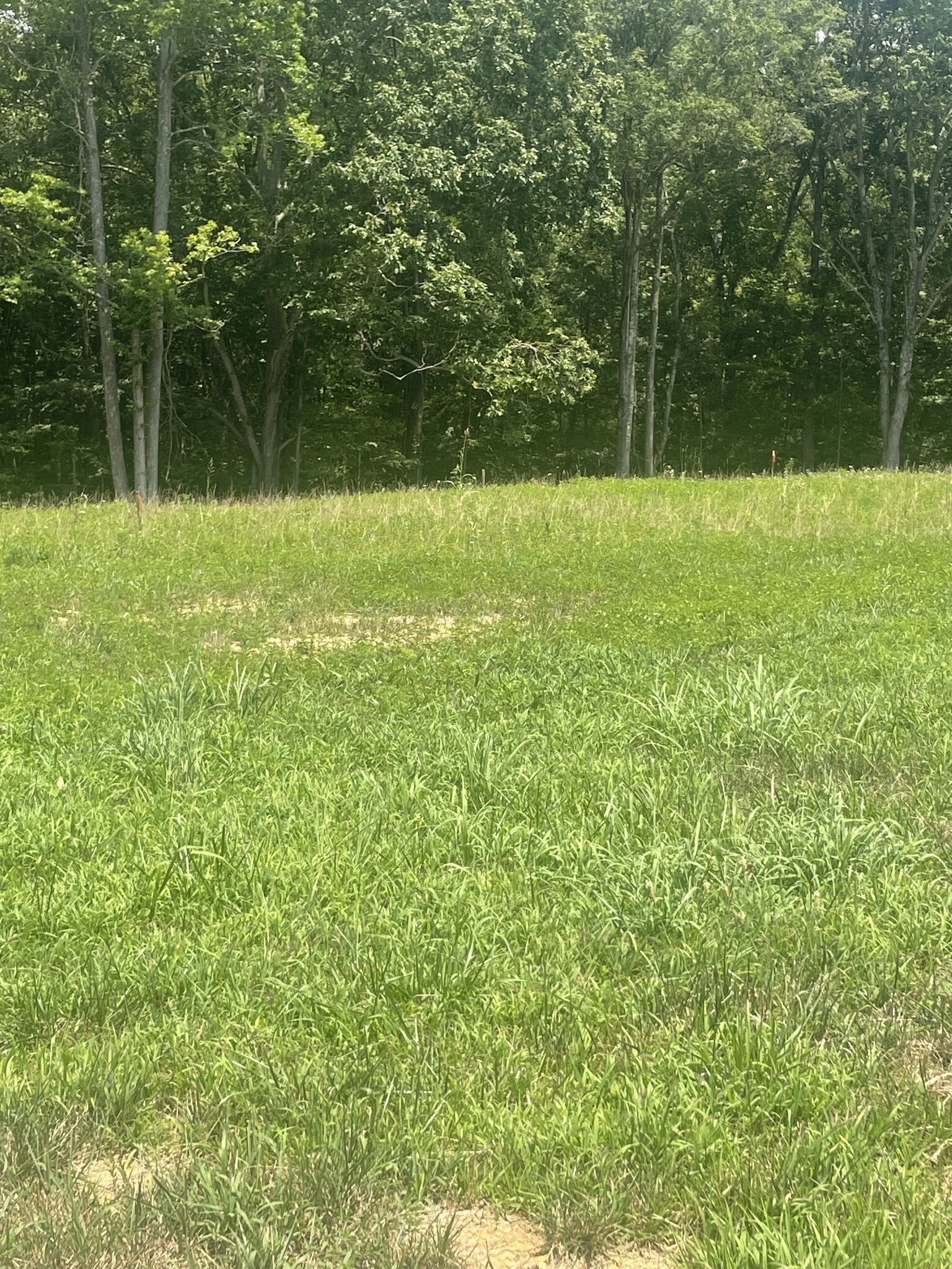 Property Photo: 0 Summerlake Ct TN 37398