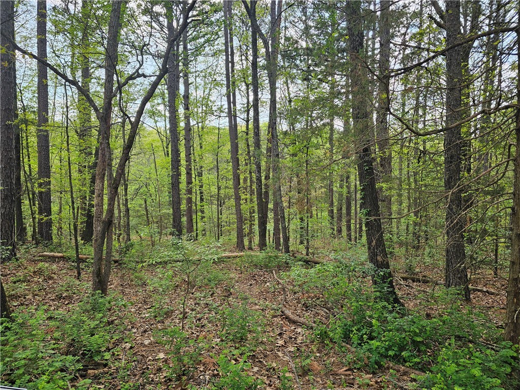 Property Photo: Tbd Belvoir Lane AR 72715
